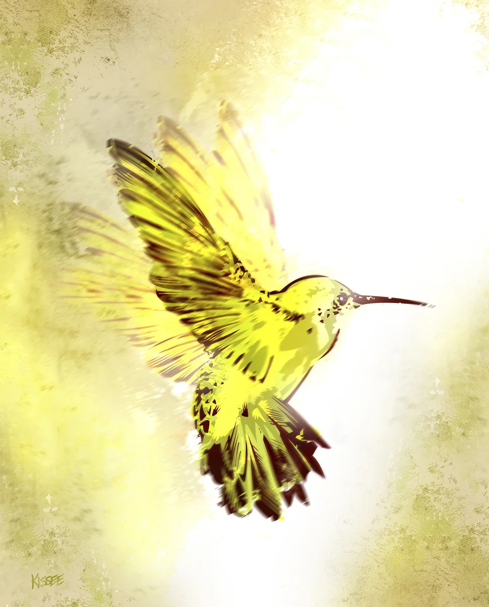 Hummingbird.jpg
