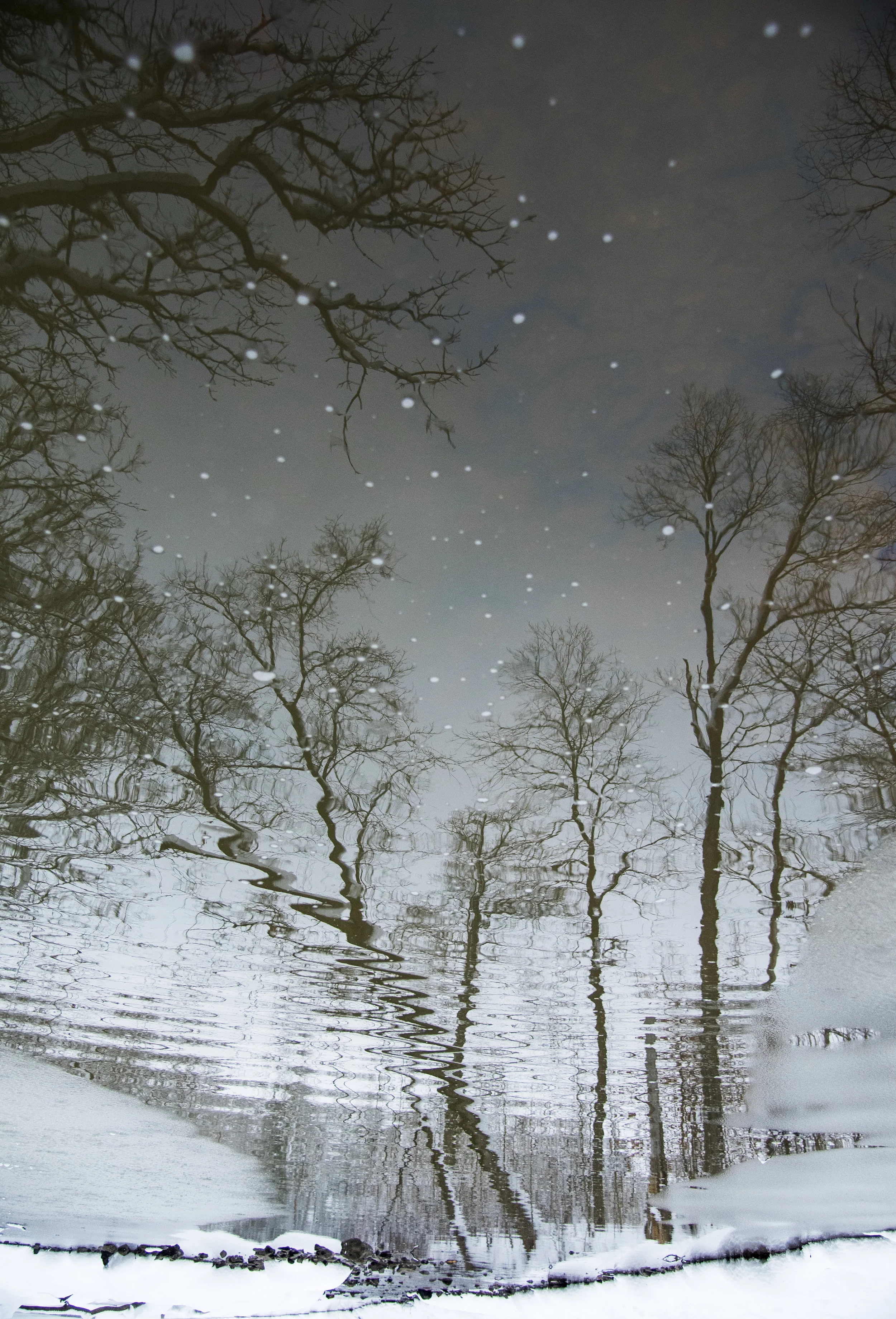 Snowfall Reflection