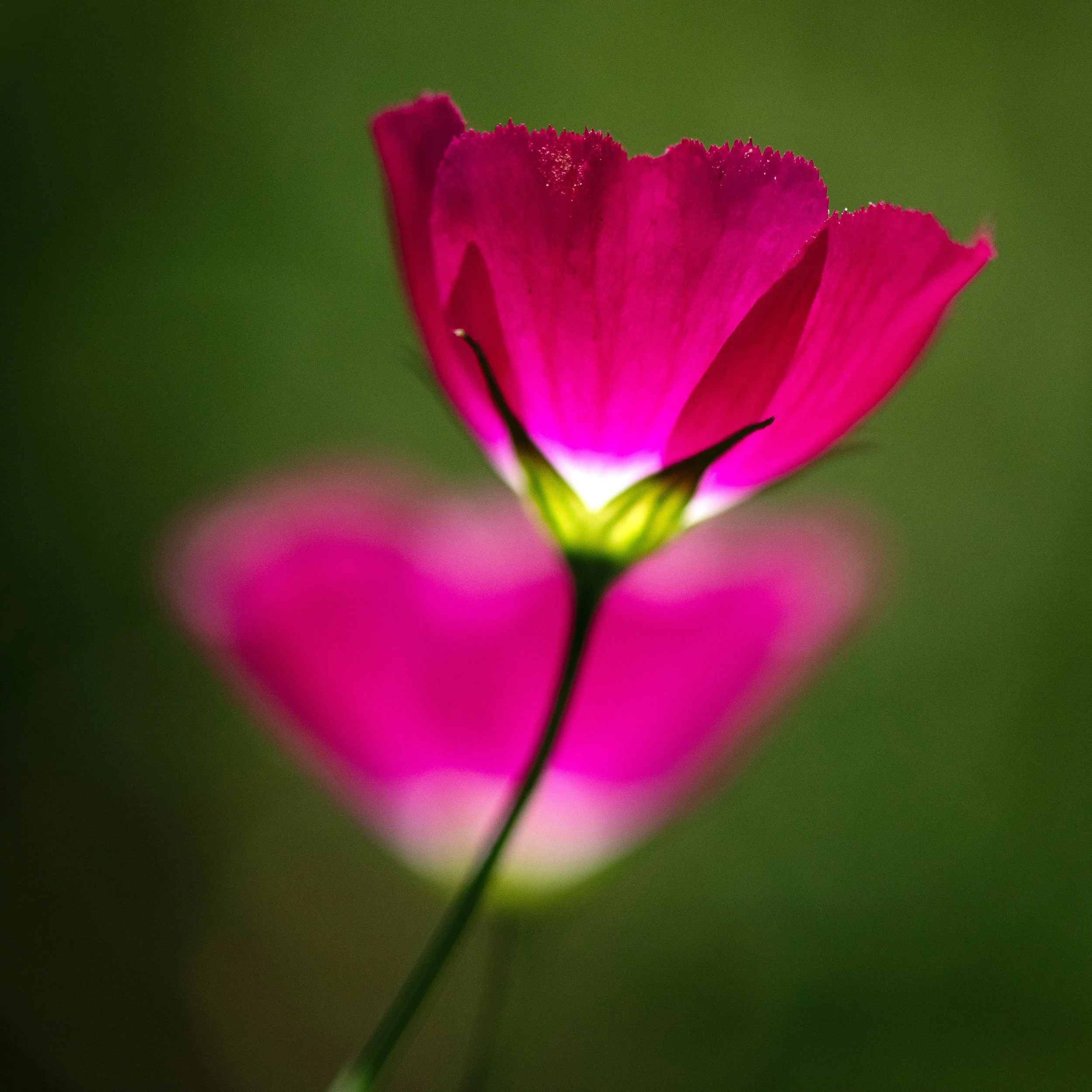 _DSC8509square.jpg