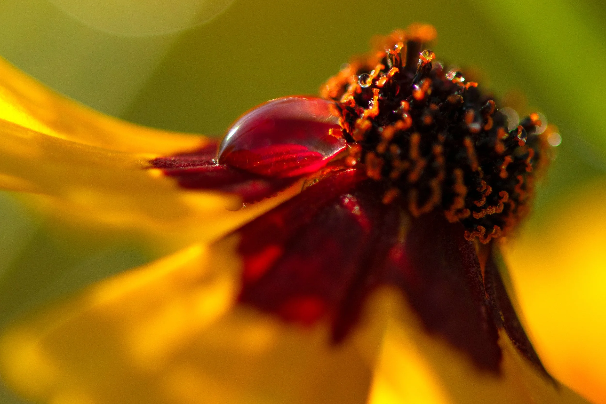 _DSC3067CROP.jpg