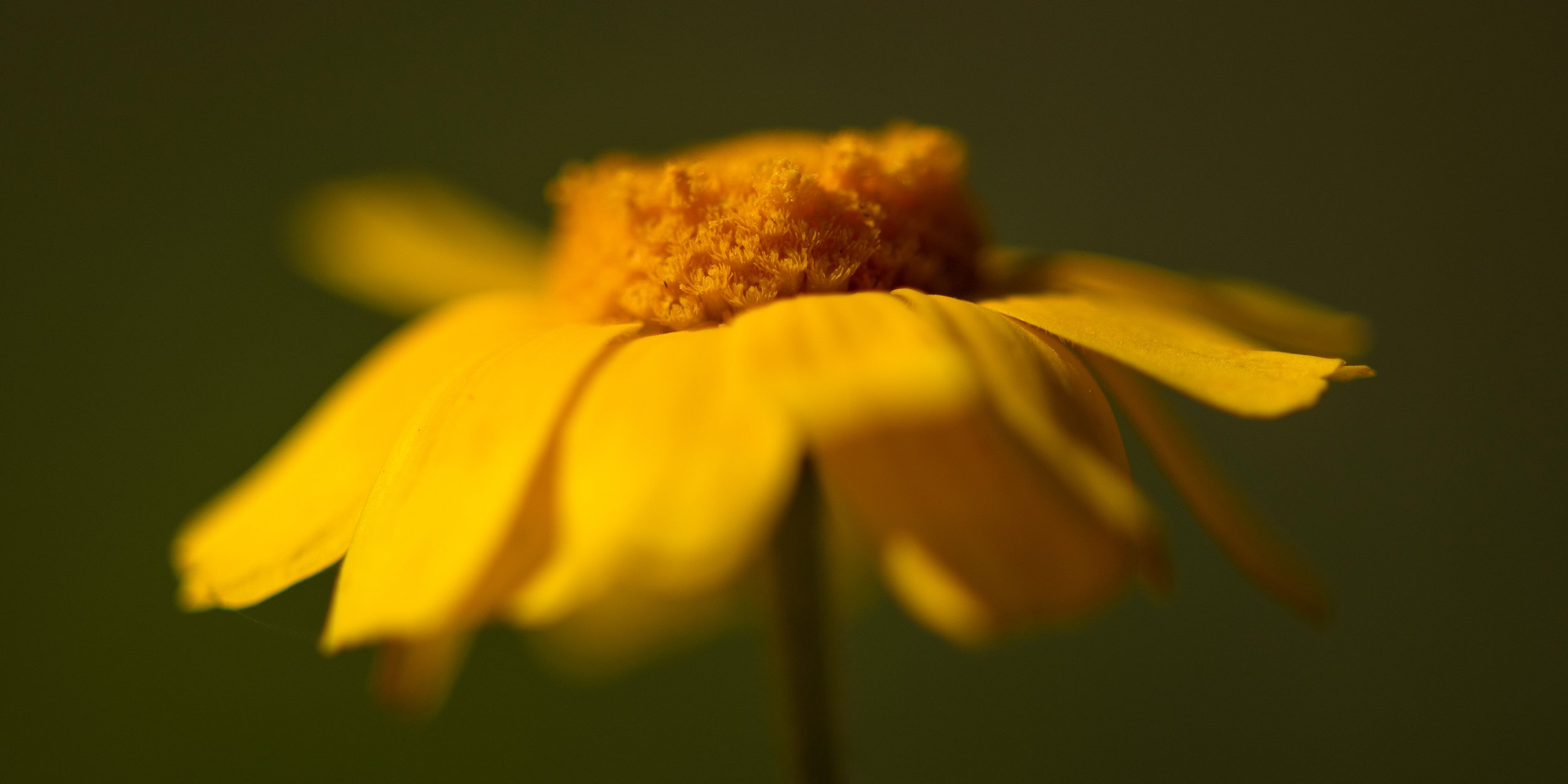 _DSC5560.jpg