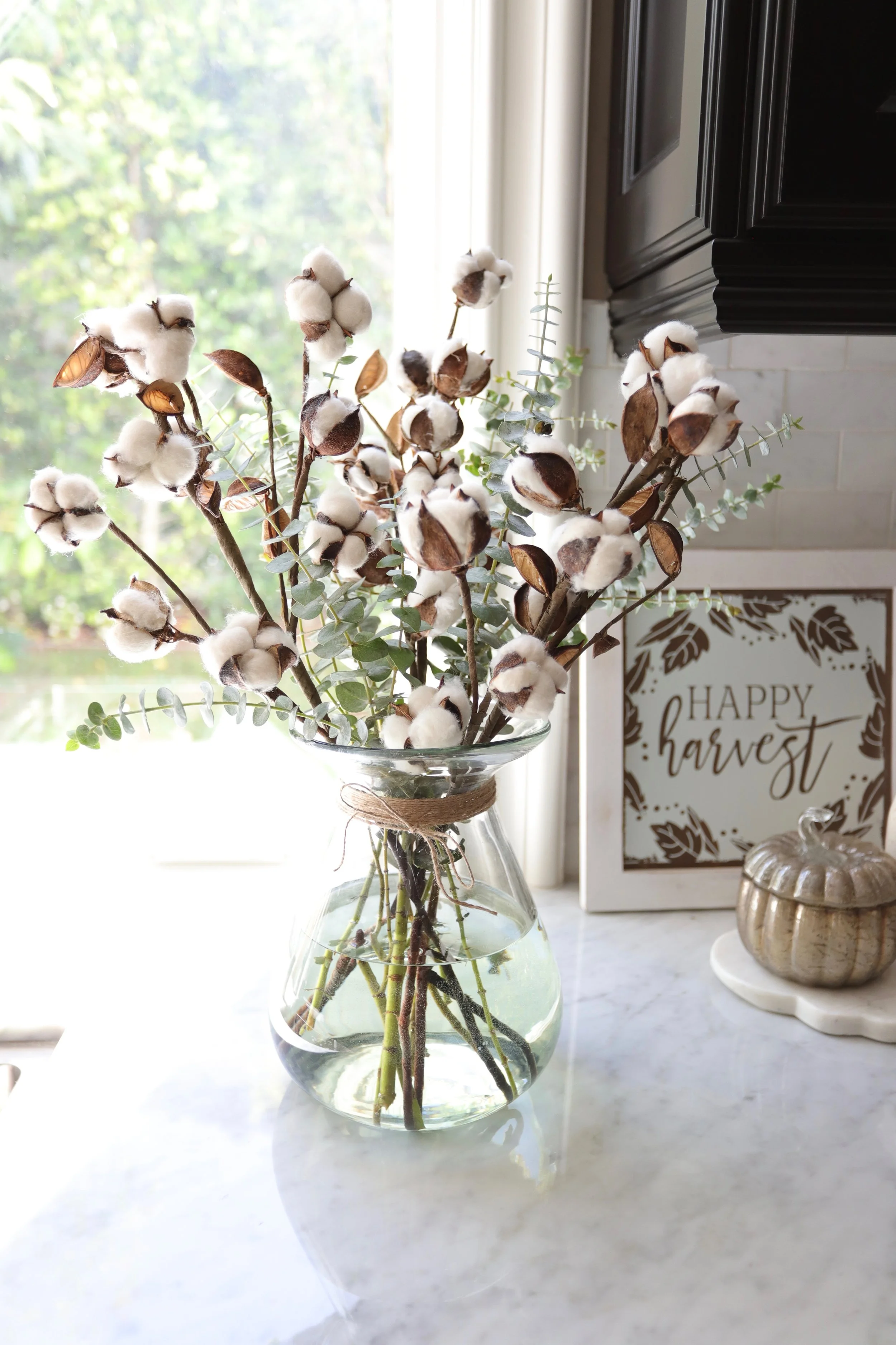 Eucalyptus Cotton Pods Hosting With Chels