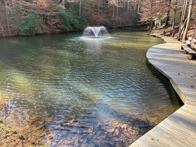 Pic 10.jpg