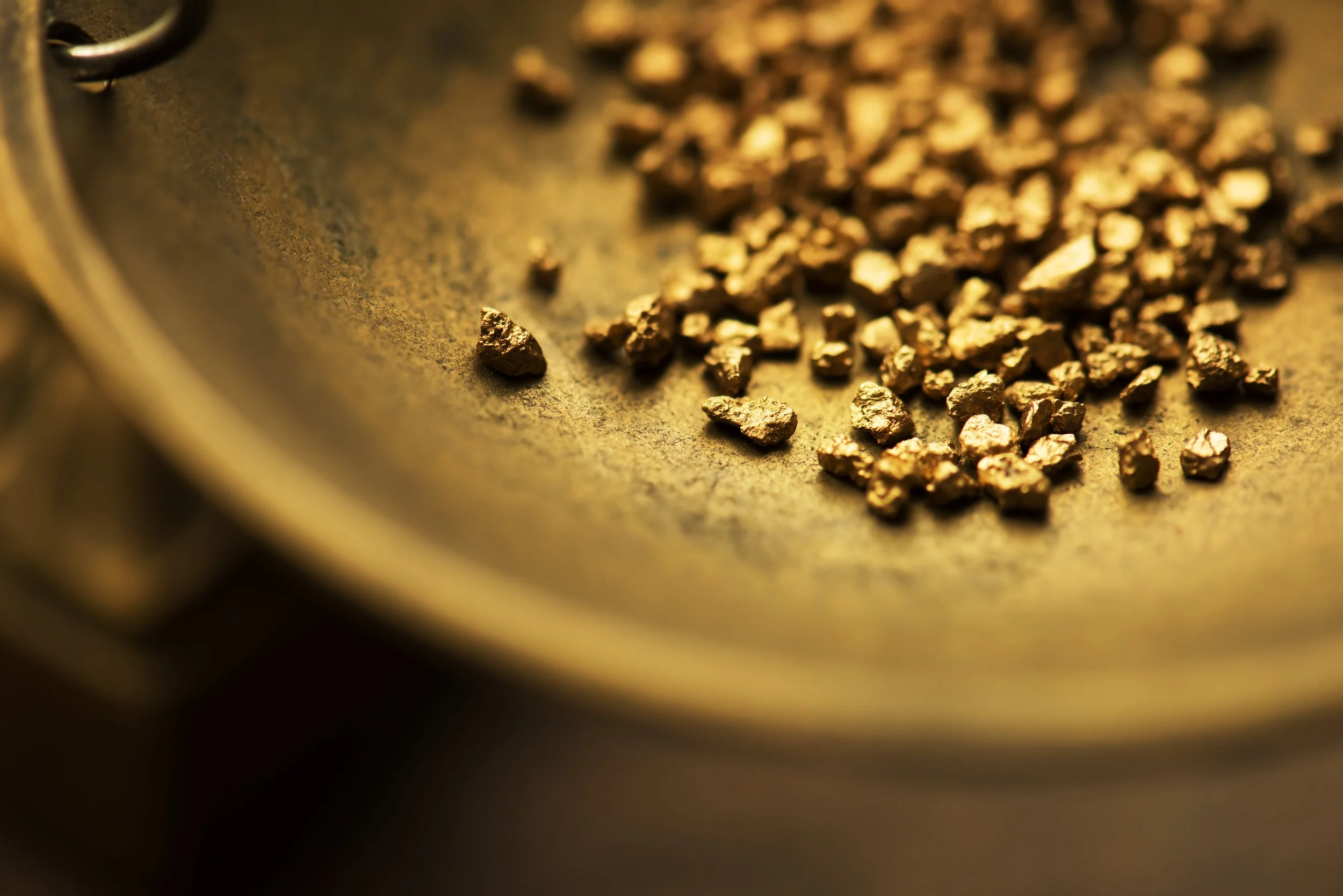 The 2020 Gold Rush is Here— Are You Missing Out?