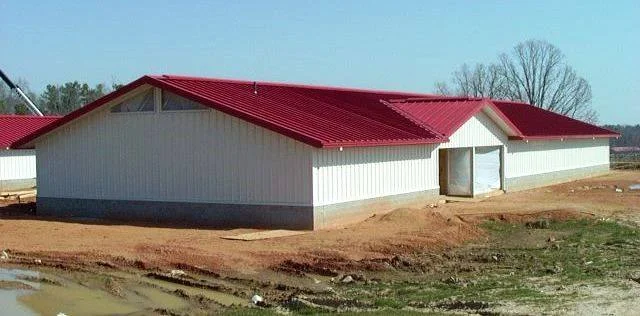 POULTRY TEACHING