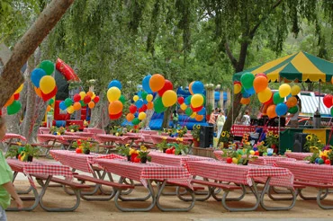 Picnic 4.jpg