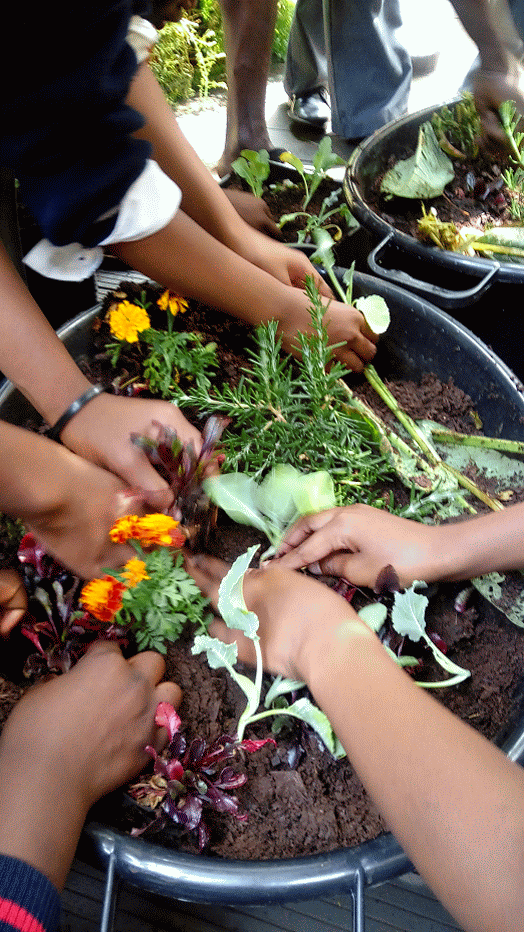 Young People’s planting programme with local students at Ejaradini with Sun Mabengeza and Colin Groenewald