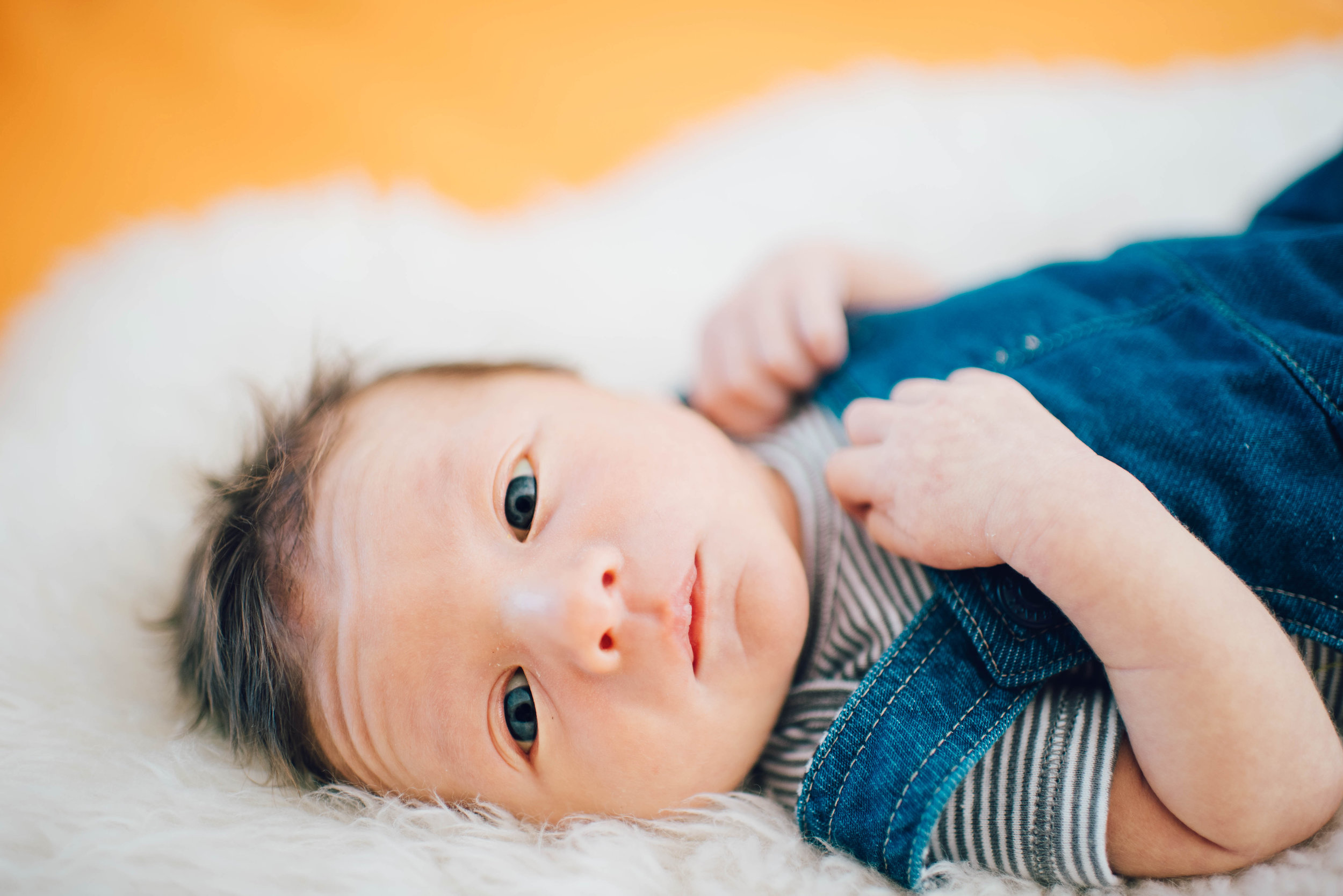 Henry // Two weeks old 