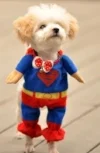 XSMALL-Superman-Dog-Cat-Puppy-Halloween-Costume-Clothes-Pet-Apparel-Superdog-Dress-Up-Pet-Supplies-by-Accessorybee-0-0.jpg