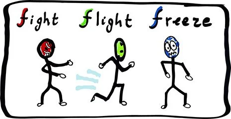 51 Ways to Fight, Flight, or Freeze My Way Through Gulf War III