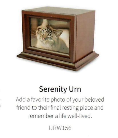 Serenity Screen Shot 2022-02-20 at 11.02.32 AM.png
