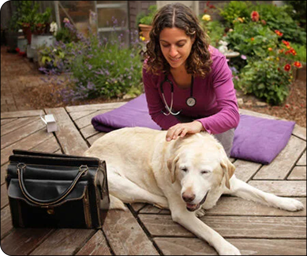 at-home-veterinary-care-with-lotus-vets+with+Bag 1.png