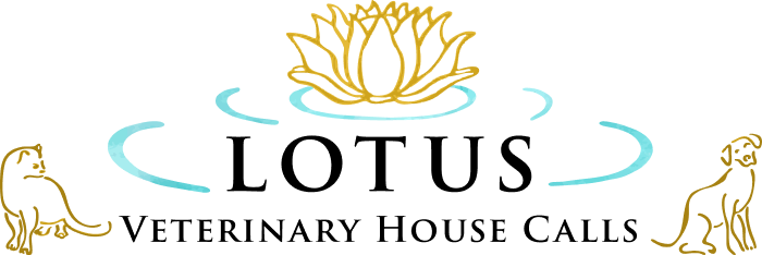 Lotus Veterinary