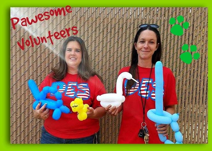 DES is so GRATEFUL for these two lovely ladies! Debi Dale and Christina Erickson were a big help on Fun Day! They made some amazing balloon animals and creations for the students! Thank you both for taking time out of your busy lives to put smiles on the kids' faces! (And in case you are wondering, YES, they do parties!) DES and the PPA thank you for ALL you do!