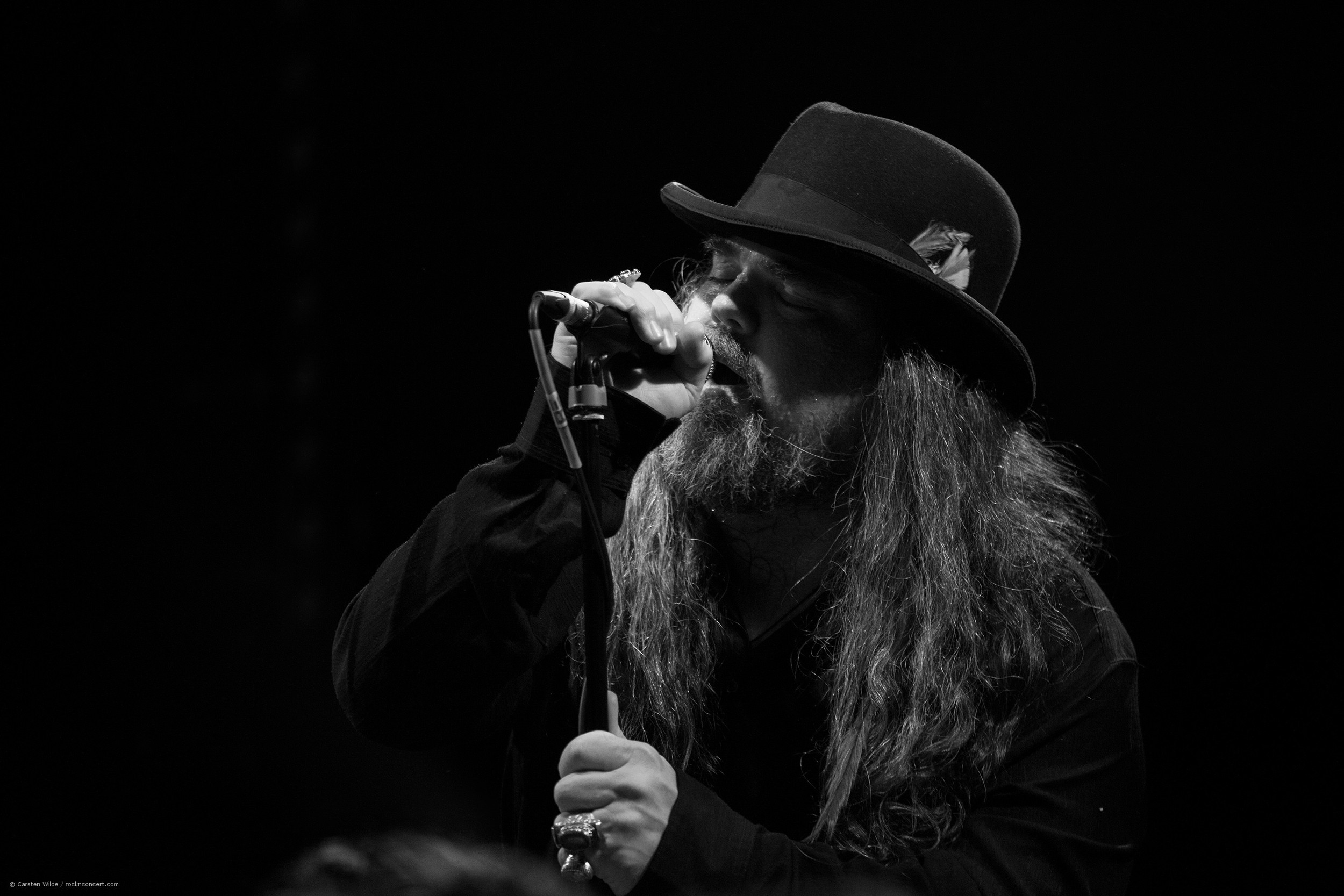 brad_paris_concert-09-Shawn-Smith.jpg