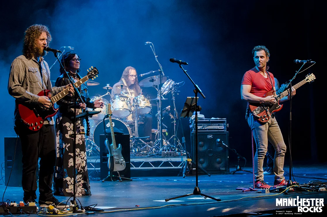 DweezilZappa-171 copy.jpg