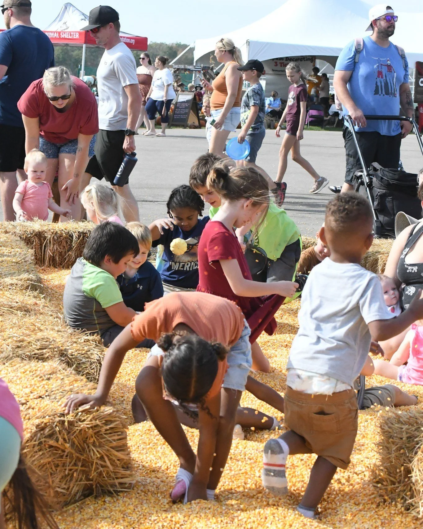 Thank You for an Amazing Babinski Foundation Fall Festival! 🍂🐾

We are overjoyed to share the incredible results of this year's Fall Festival! The day was filled with fun, a sense of community, and overwhelming support for the animals at The Babins