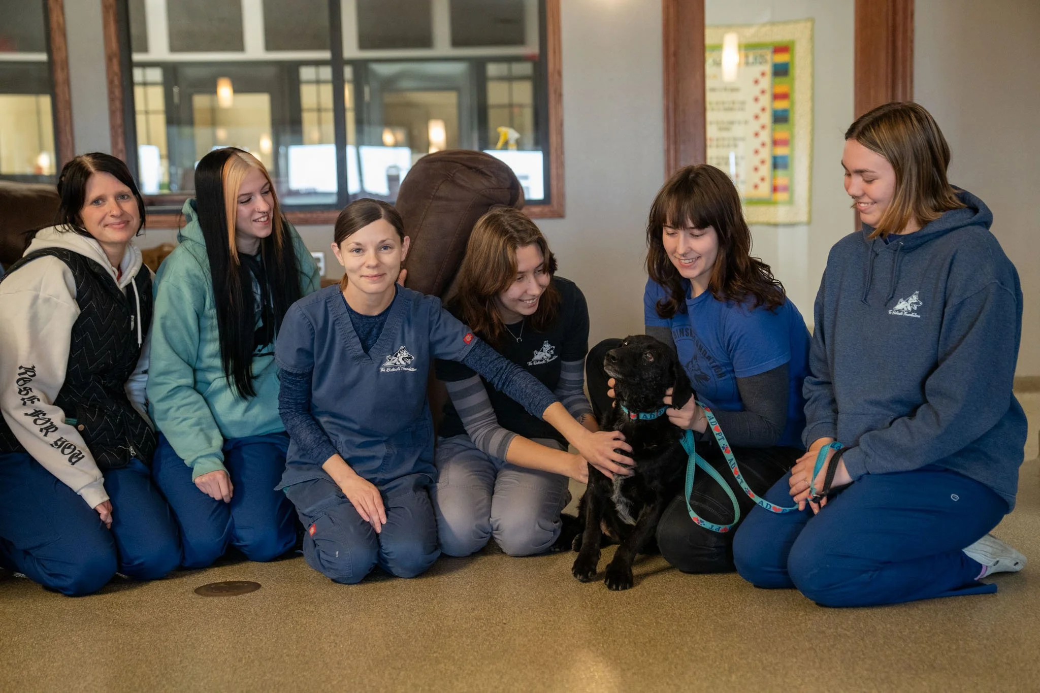 What a wonderful weekend for the shelter pets! ❤️ We are so thankful for the many successful adoptions that took place. It was an amazing thing to see so many of our long-term dogs finally find their forever homes. Thanks to the amazing number of dog