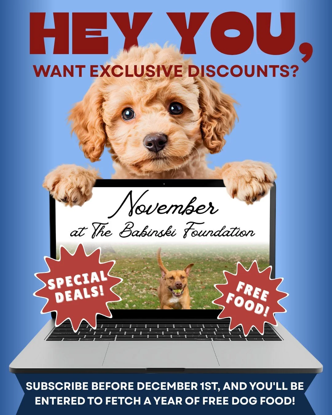 🐾 Exclusive Perks &amp; A Huge Giveaway!
Join our newsletter community for benefits you won't find anywhere else:

🔓 Unlock Exclusive Adoption Discounts: Special promotions available only to our subscribers.

🎉 WIN a Year of Free Dog Food! Subscri