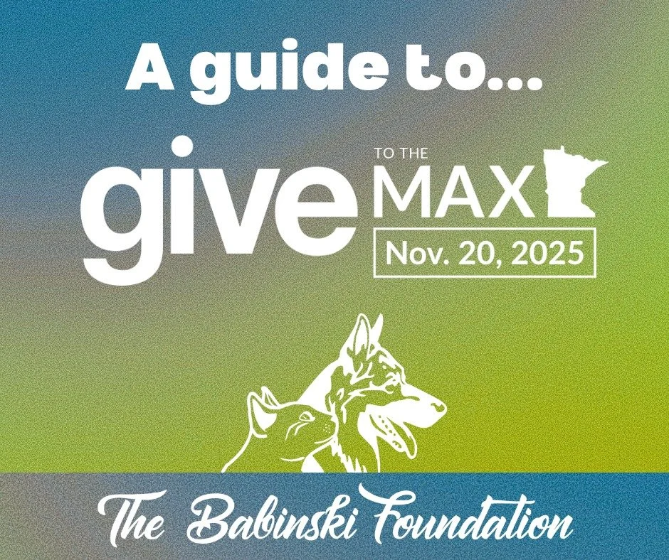 Give to the Max Day is almost here! 📣 Check out The Babinski Foundation Animal Shelter's guide for everything you need to know about this year's day of giving!

Donate through the link in our bio!