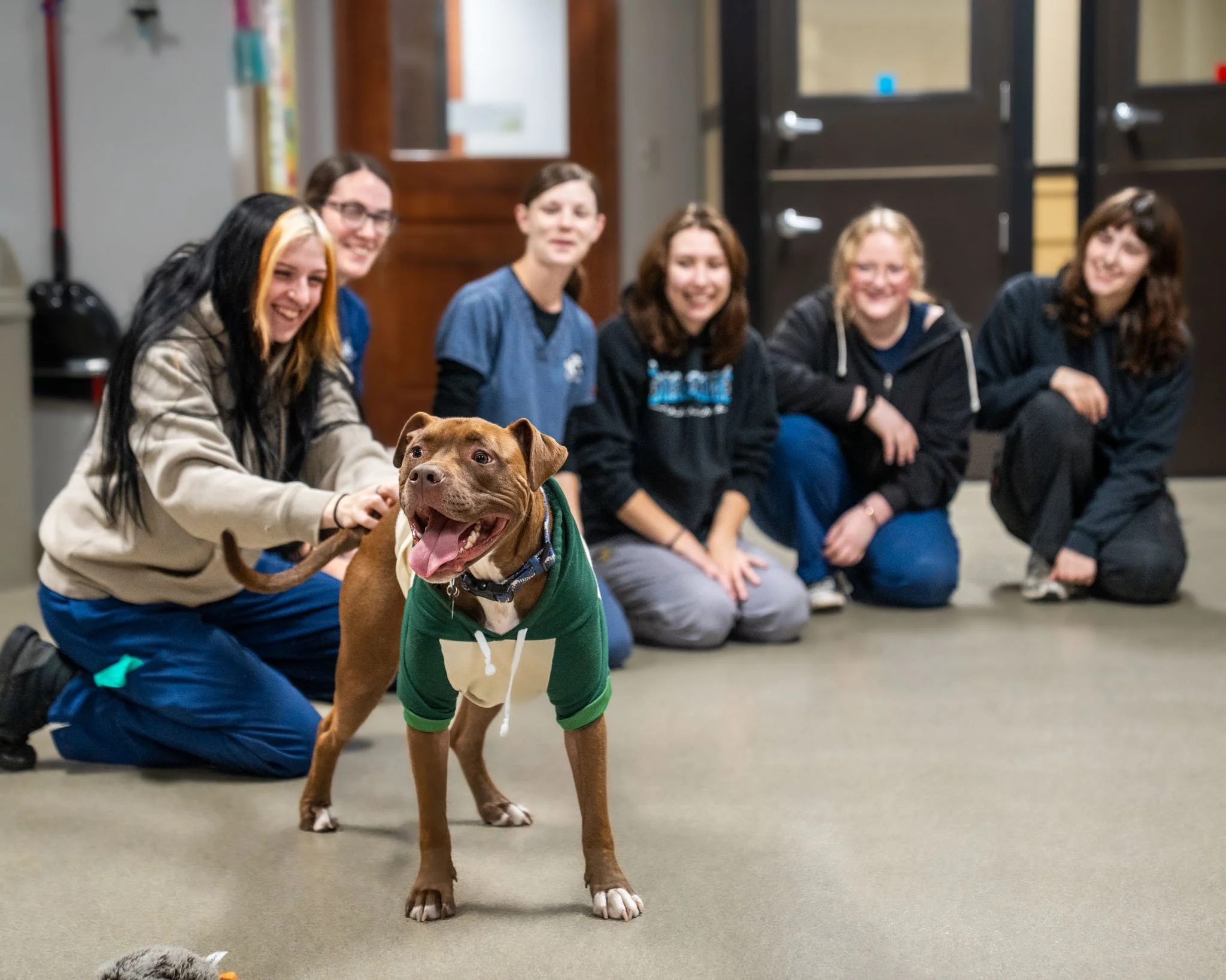 ⛺ Toby of All Trades ⛺
Last month, the Babinski Foundation was absolutely thrilled to welcome back a very special alumnus: Toby! This sweet, goofy boy was adopted two years ago by an amazing adventurer, Kenny, and has been living the dream ever since