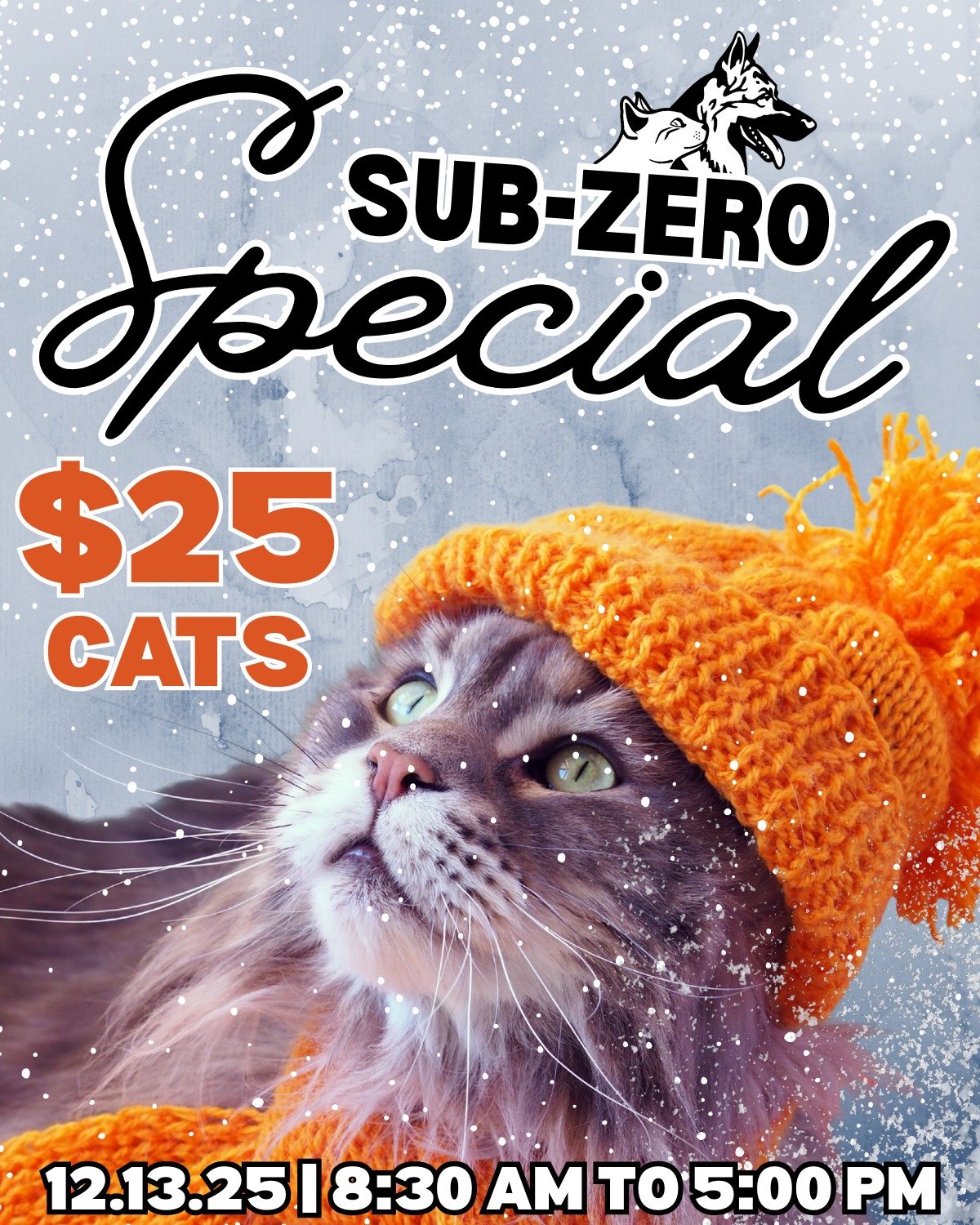 ❄ SUB-ZERO SPECIAL! $25 CATS! ❄

The temperatures are dropping, so we're dropping our cat adoption fees for a limited time! ☃

Join The Babinski Foundation Animal Shelter tomorrow, December 13th, from 8:30 AM to 5:00 PM for a one-day $25 Cat Adoption