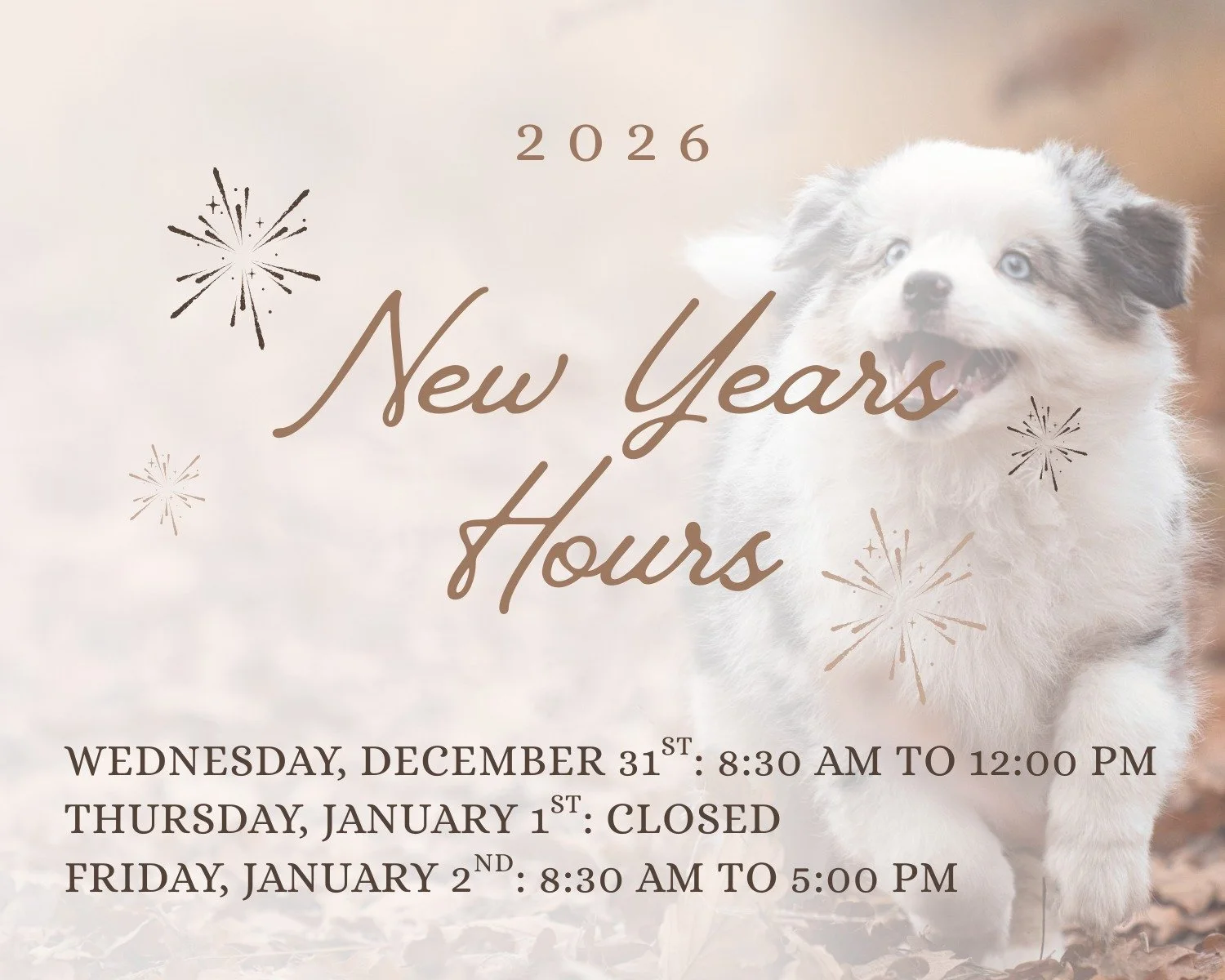 With the New Year just around the corner, we wanted to share our upcoming holiday hours. The Babinski Foundation will be closing at noon on Wednesday, December 31, and will be closed all day on Thursday, January 1. We hope you have a wonderful last f