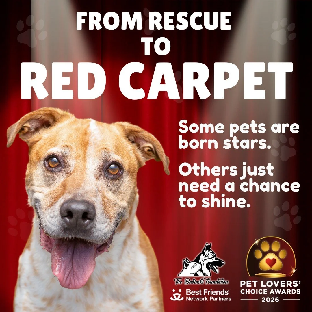 Enter your pet in Best Friends Animal Society's 2026 Pet Lovers' Choice Awards up until January 17th! Check out the different categories like "Best Rescue Pet," "Ugliest Pet," or "Senior Sweetheart." If you adopted from 