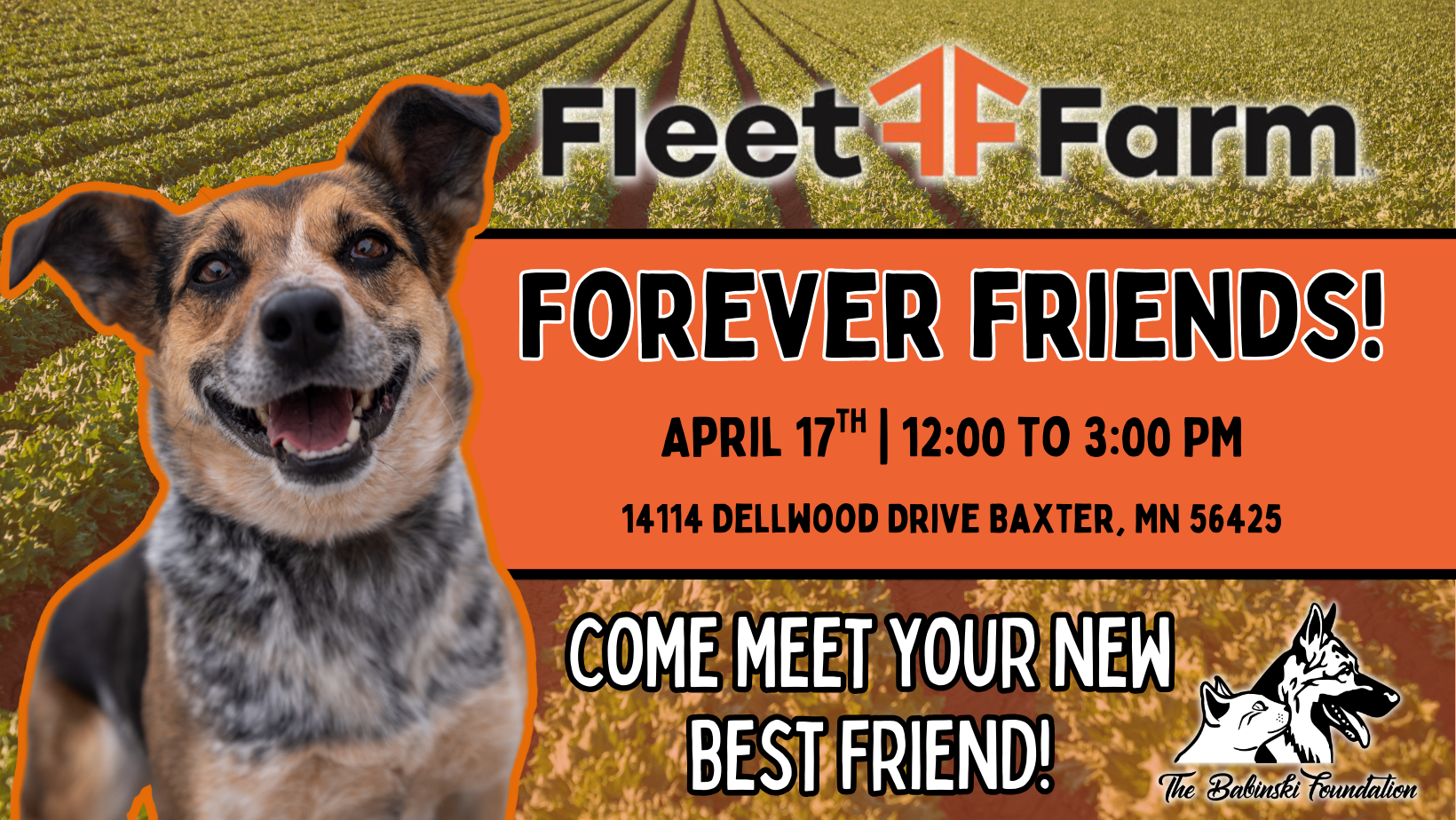 Fleet Farm Forever Friends!