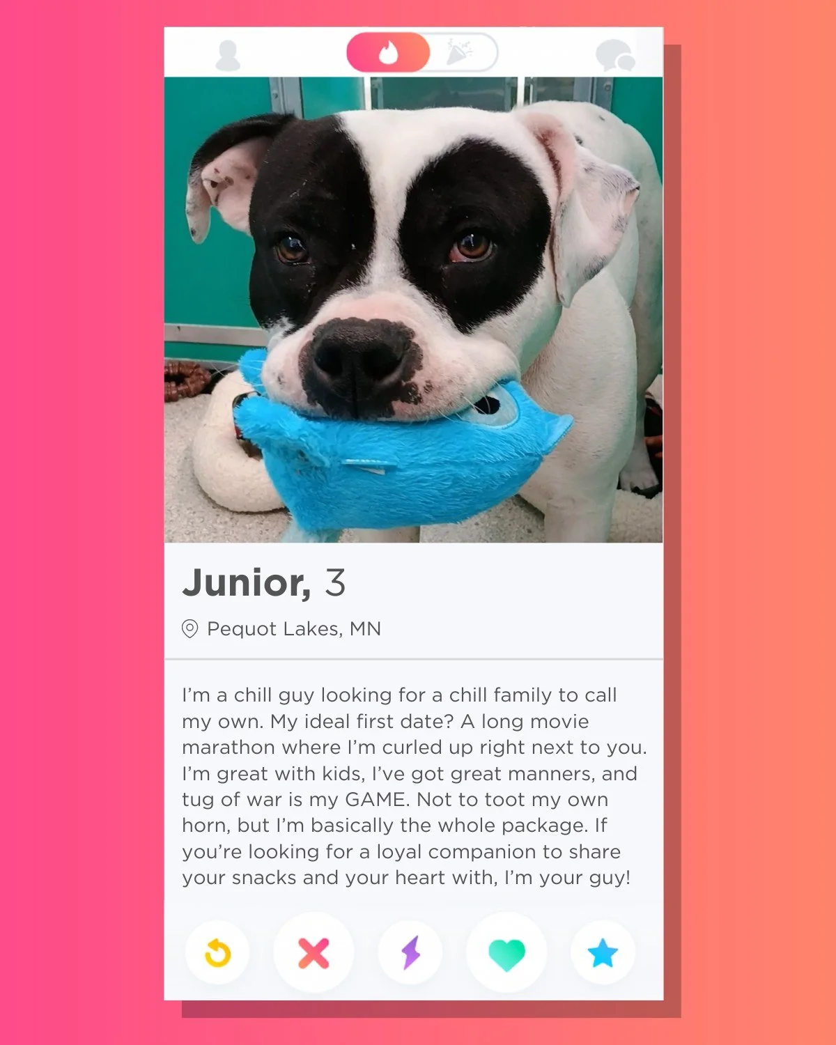 🔥 Are You Swiping Right on Junior? 🔥

We're kicking off February, the month of love, with our shelter animal's dating profiles in preparation for Pet Speed "Dating" on February 13th! 

How could we not start off with our most eligible bac