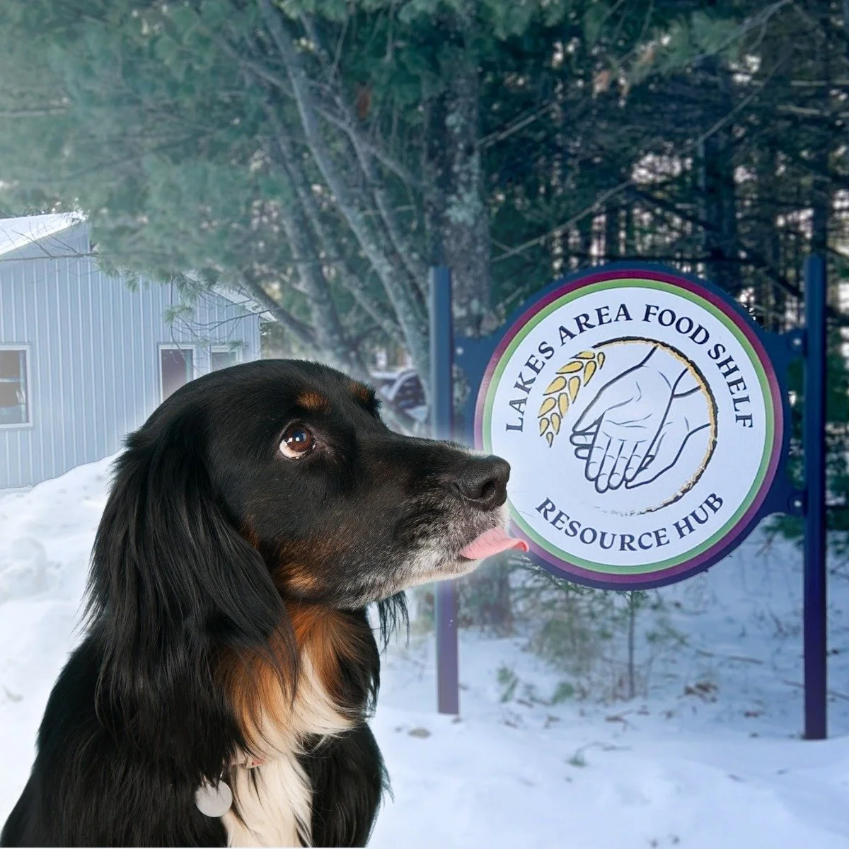 We had a wonderful time at the Lakes Area Food Shelf yesterday! Thank you for hosting The Babinski Foundation for our free microchip clinic. It was the perfect way to kick off our pet food restock, where we were able to provide 900 pounds of food for