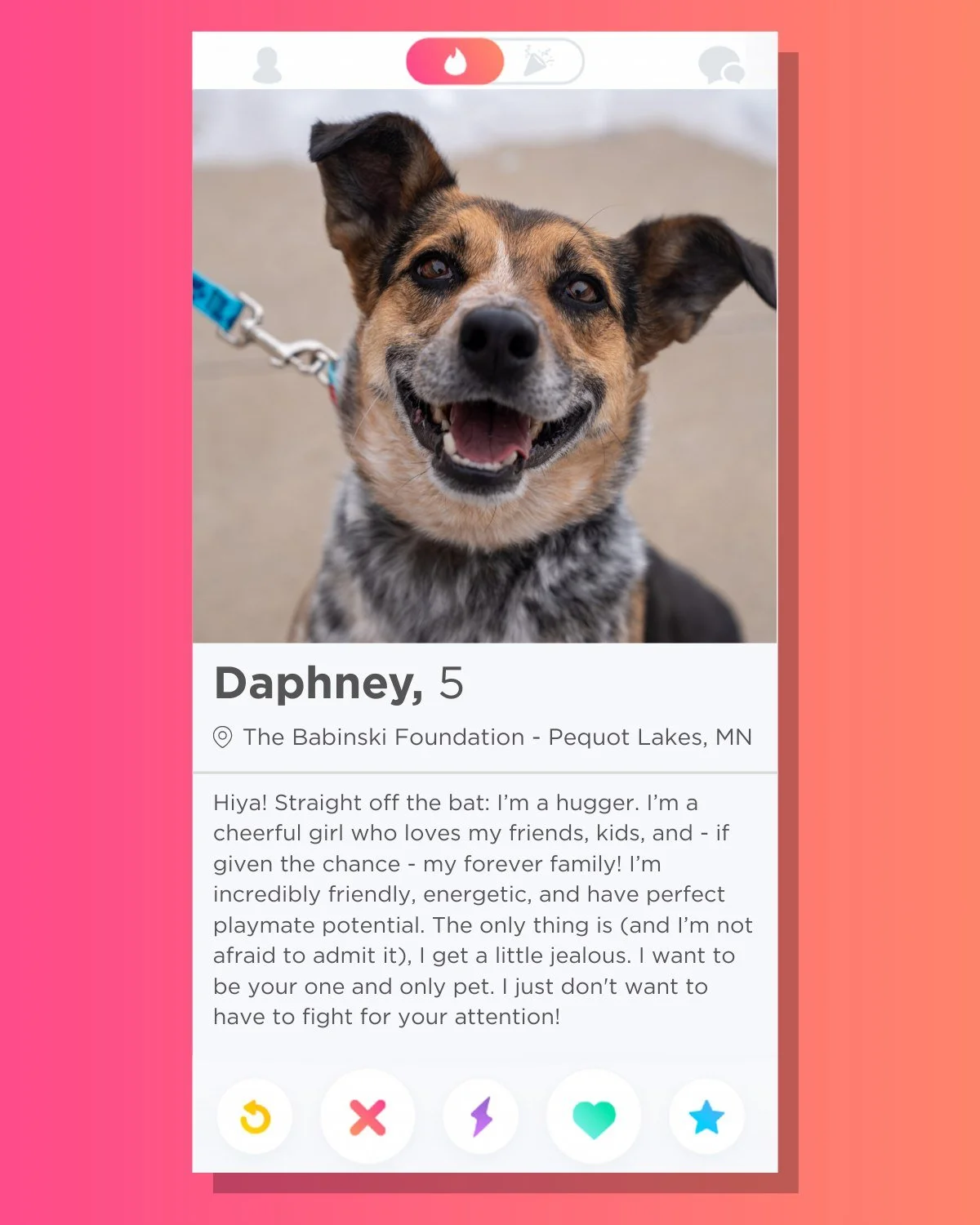 🔥 Swipe Right on Daphney 🔥

Molly is Hope, a wonderful organization, has sponsored the adoption fee of this glorious girl in hopes that she can be your valentine this February! Daphney is ready to find a home with no fees!

Daphney is a 40-pound Bl
