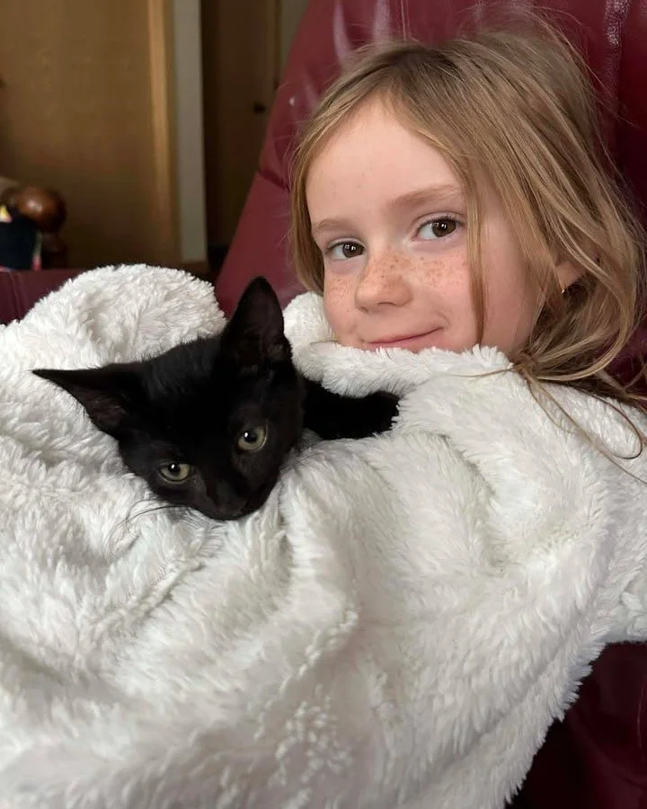 ✨ Success Story Sunday ✨

"With my hubby in hospice he wanted to see a smile on my face.  He said I could get a cat or a dog.  I choose Ollie! He gets the zoomies, loves his toys, then he will sleep in my lap. He&rsquo;s a little sweetheart. Def