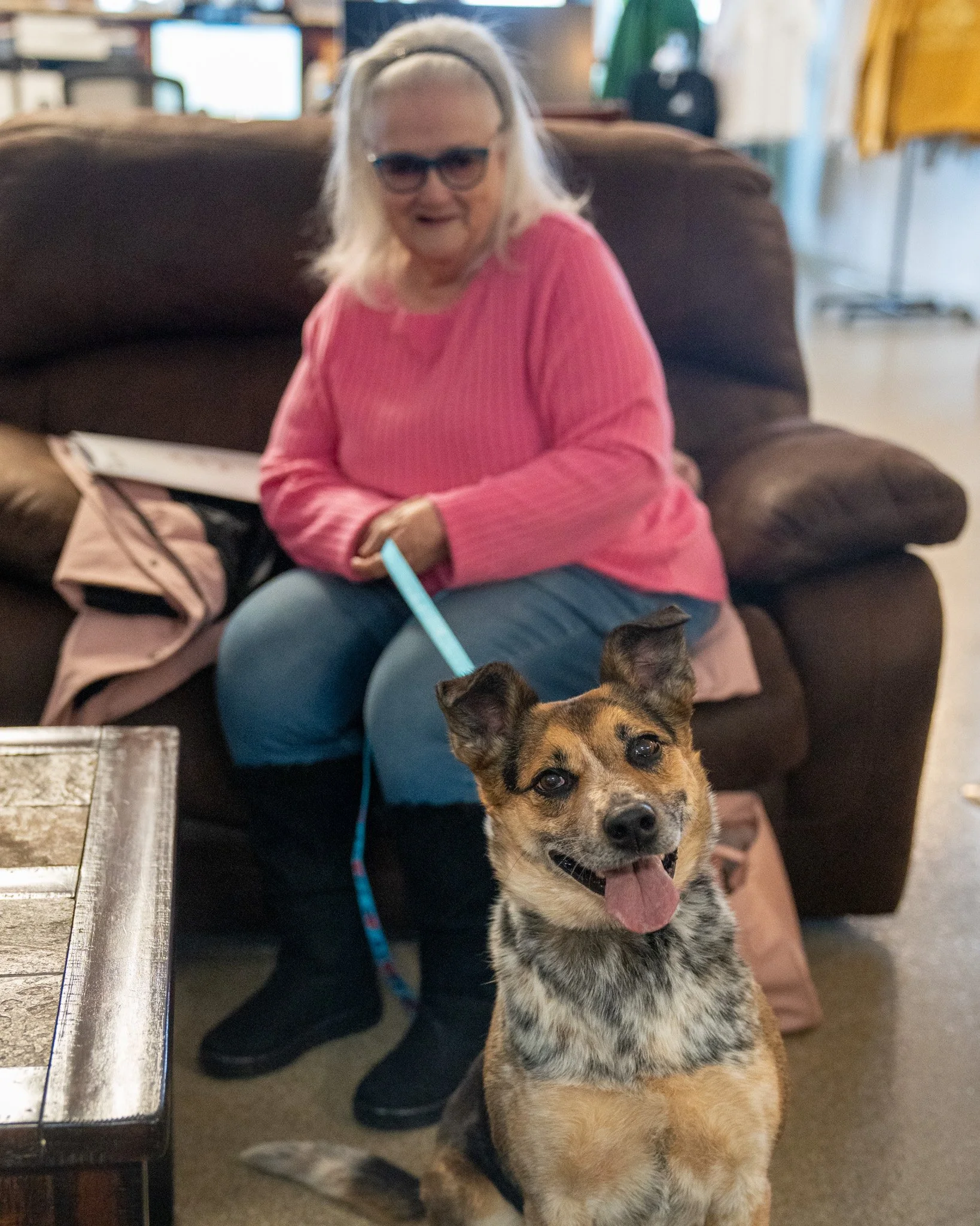 ❤ DAPHNEY ADOPTED! ❤
After 96 days in the shelter, Daphney is HOME! She&rsquo;s off to start a life filled with couch snuggles, belly rubs, and a lovely yard to explore. A huge thank you to her new family, the volunteers who walked her countless time