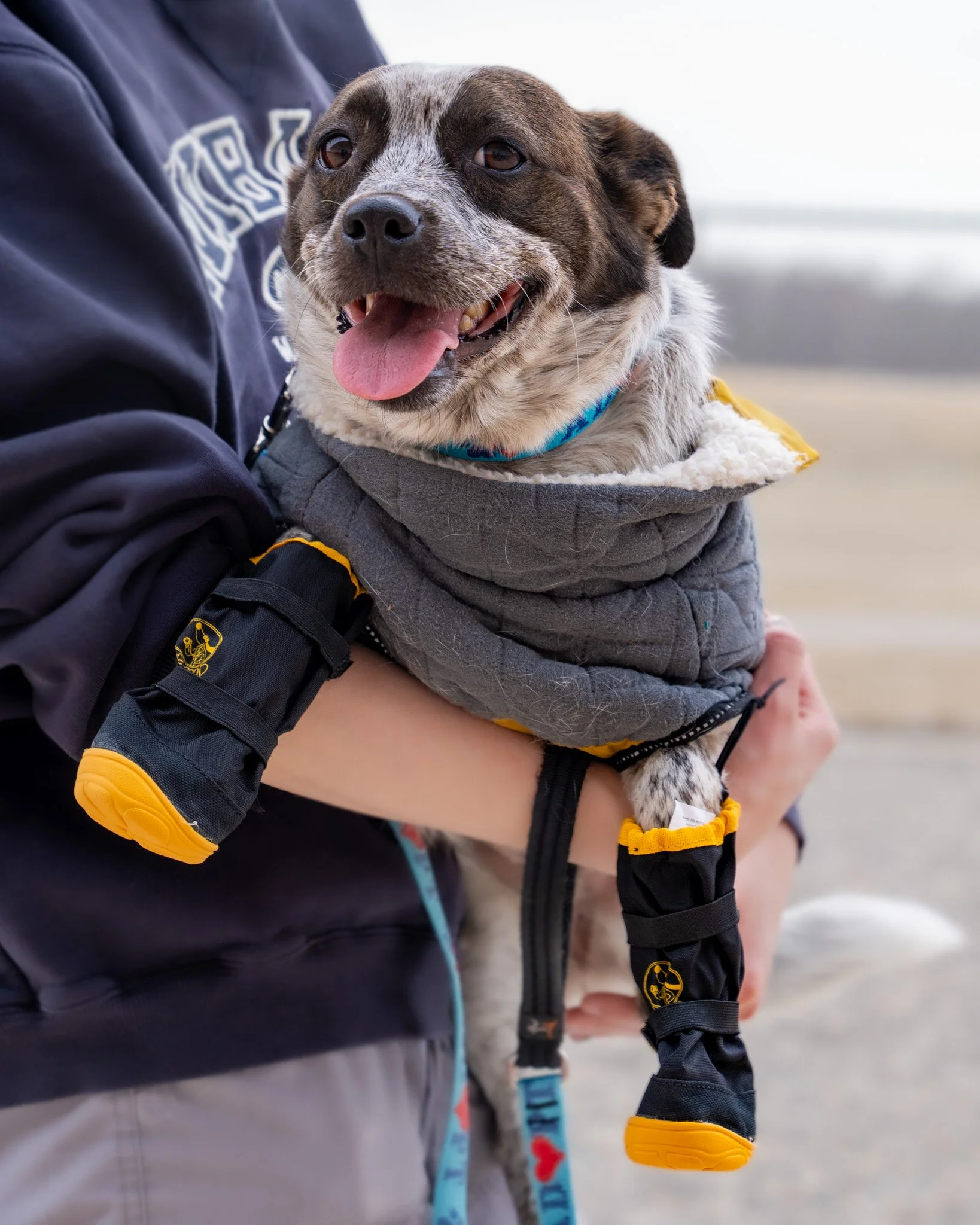 🌱 Spring Safety with Pip 🌱

Pip is suited and booted up to tell you about spring safety! With the warmer weather finally here, we want to make sure your furry friends are protected during campfires, hikes, and outdoor adventures. While these activi
