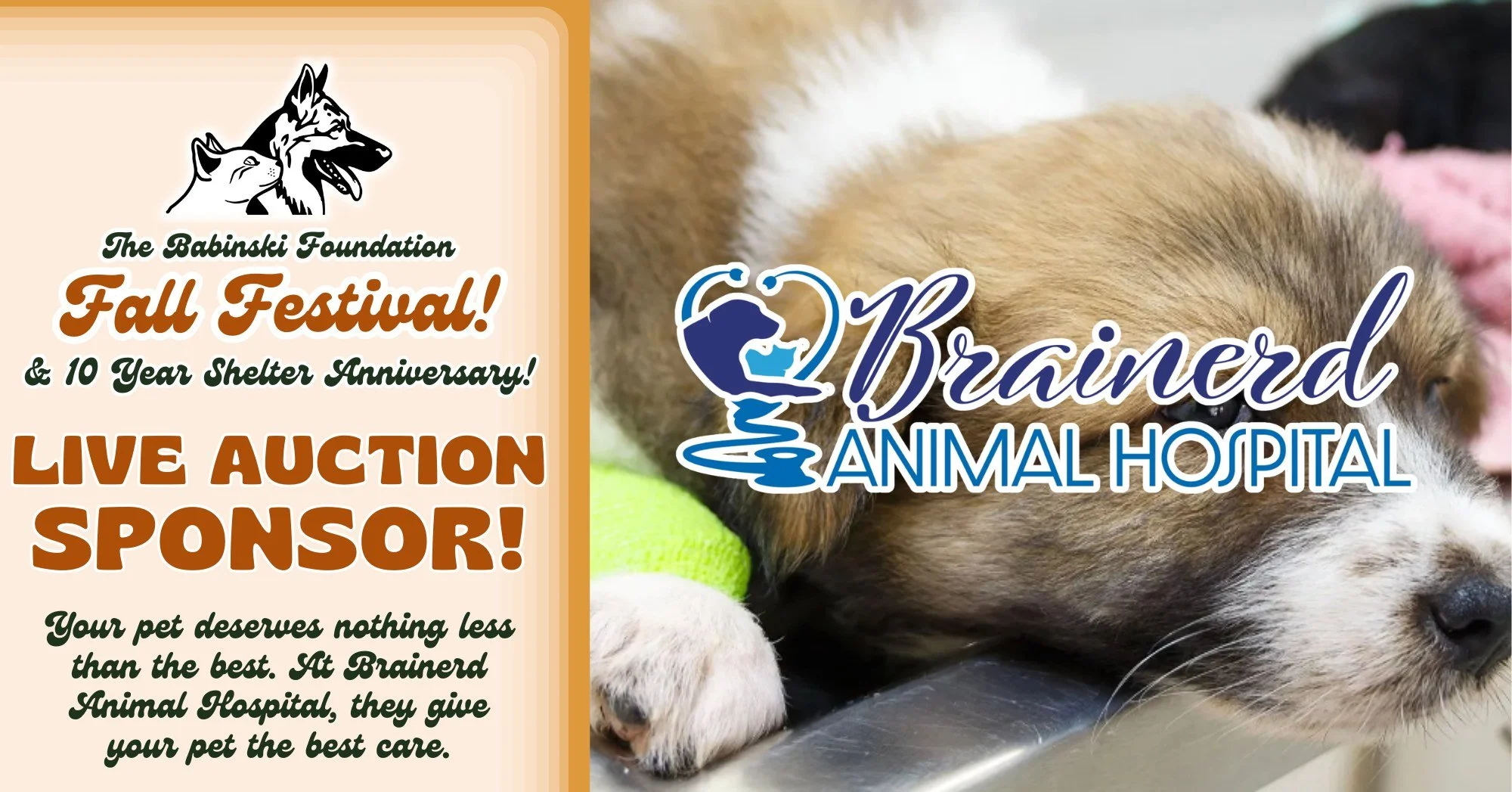 🍂🐾 LIVE AUCTION SPONSOR! 🐾🍂

We are thrilled to announce Brainerd Animal Hospital as our official Live Auction Sponsor at our 2026 Fall Festival! We love our local vets, so we're always honored when we can partner with them to support stray and a