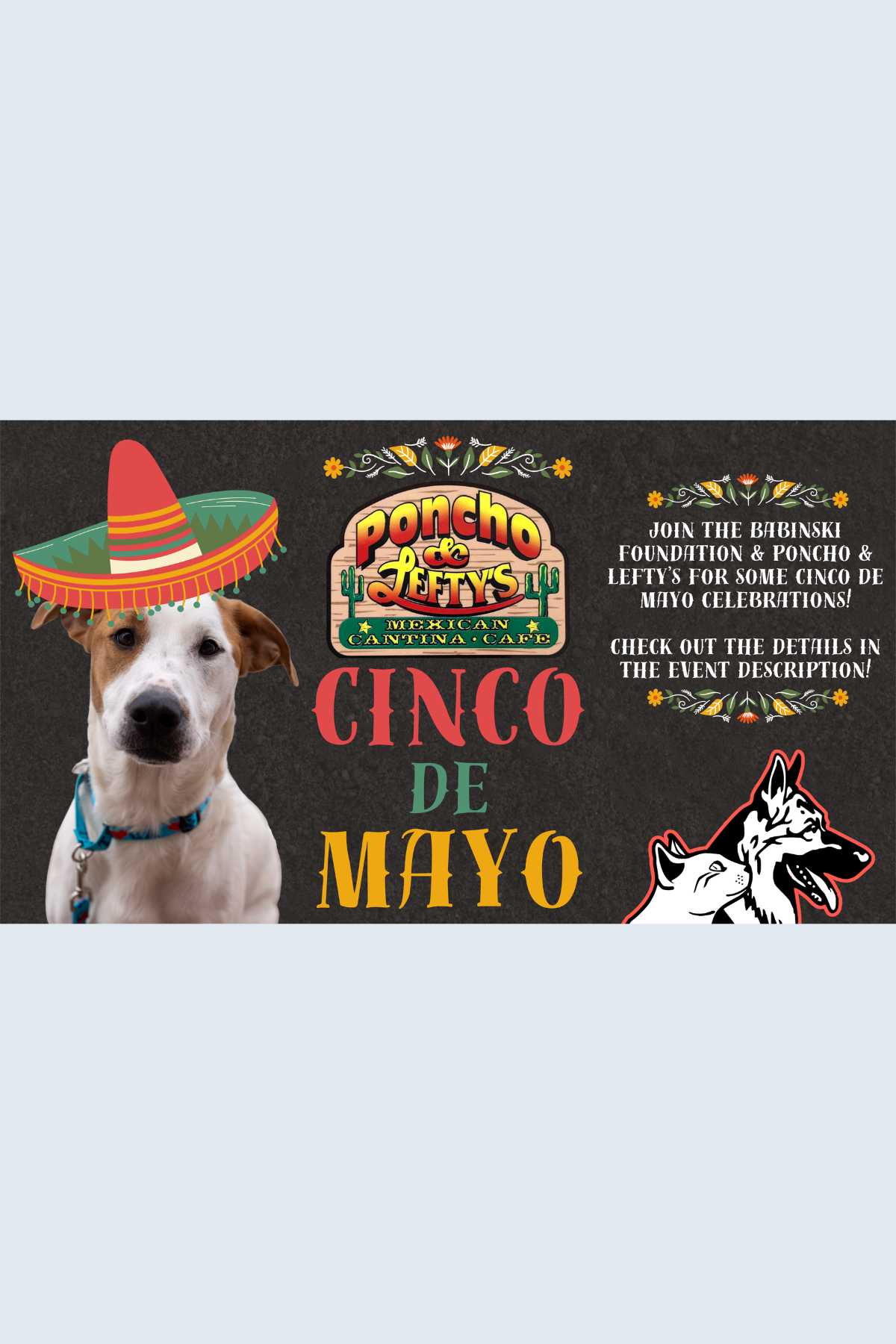 Cinco de Mayo Adoptions!