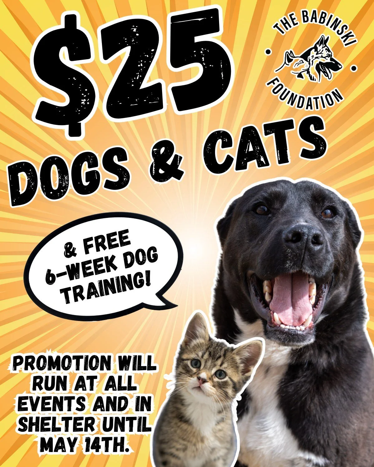 🐾 OUR BIGGEST ADOPTION PROMO EVER! 🐾

At The Babinski Foundation, we believe every animal deserves a family, and every family deserves an animal. To give animals and families an amazing start, we&rsquo;re launching our biggest promotion yet! Now th