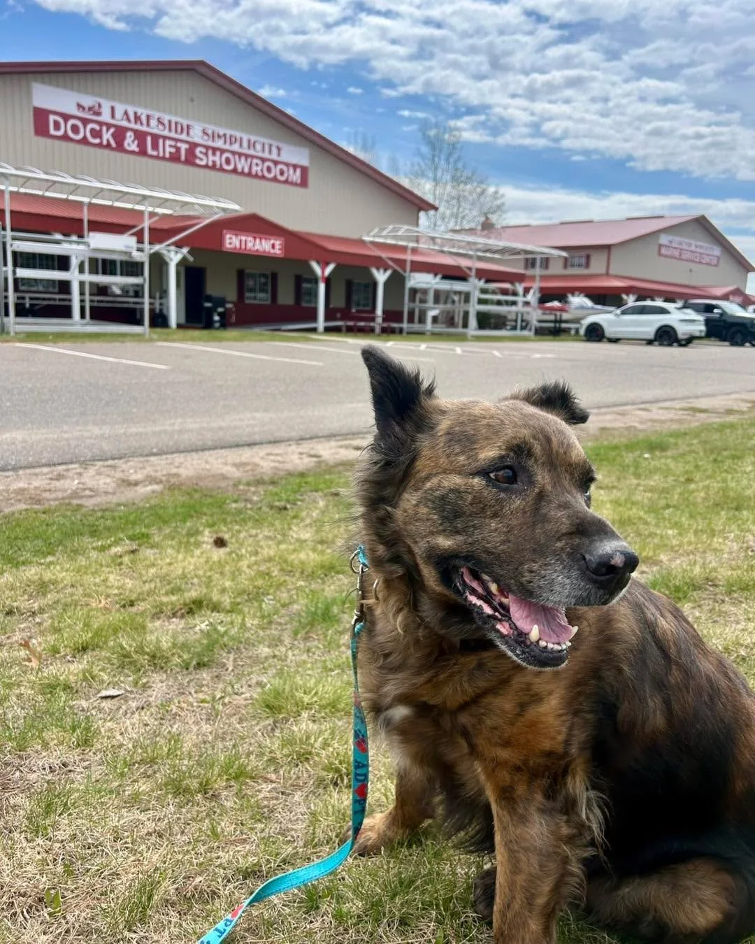 Come on over to Lakeside Simplicity until 4:00 PM for their spring open house! The Babinski Foundation will be here until 2:00 PM with $25 adoptions! 🐾