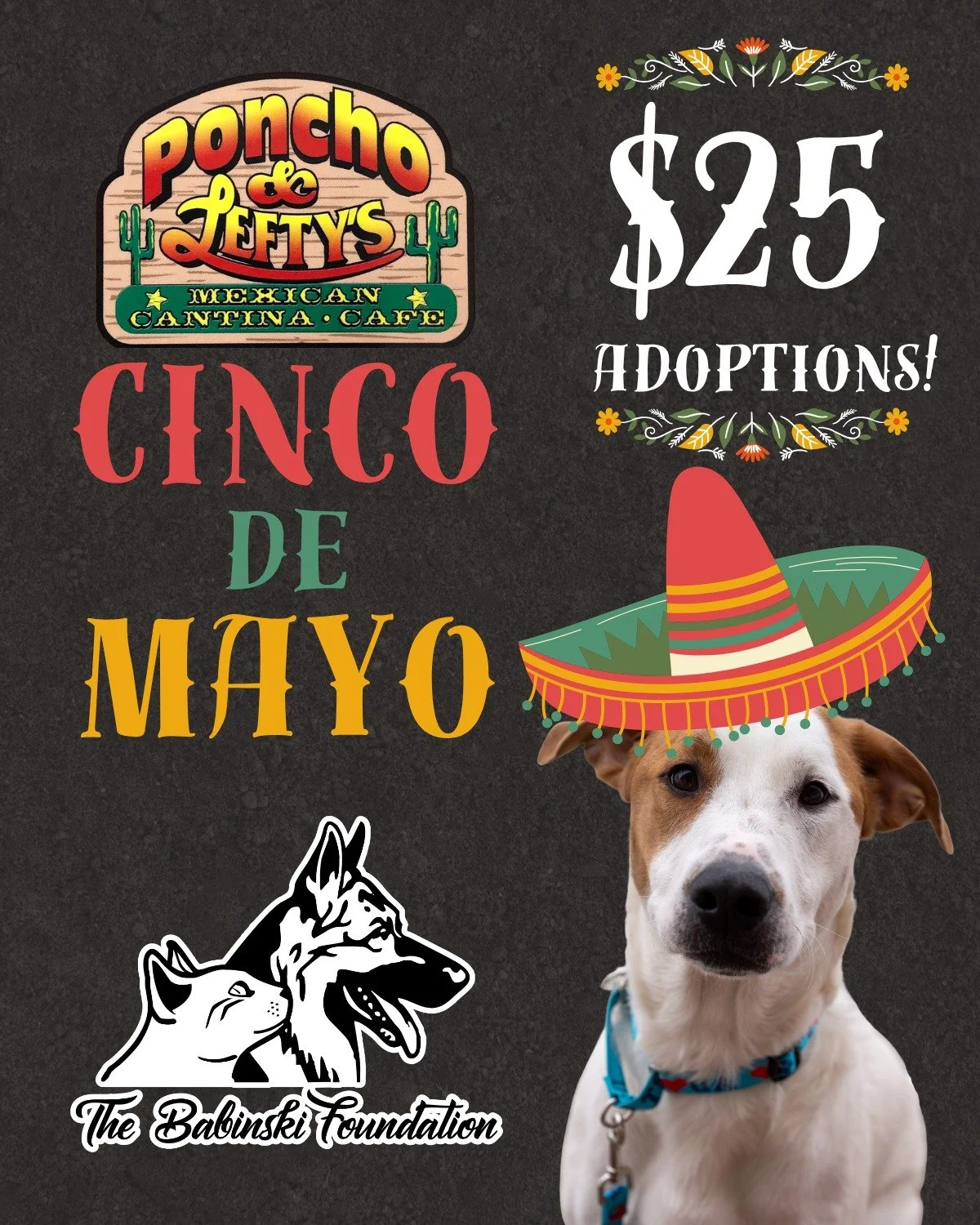 Come on over to Poncho &amp; Lefty's today, May 5th, from 3:00 to 6:00 PM for ✨ $25.00 ADOPTIONS ✨ alongside loads of fun!

✨ Face painting starting at 4:00 PM
🐷 Pig Races at 5:30 PM
🎯 Games &amp; interactive fun all day
🍭 Fresh cotton candy spinn