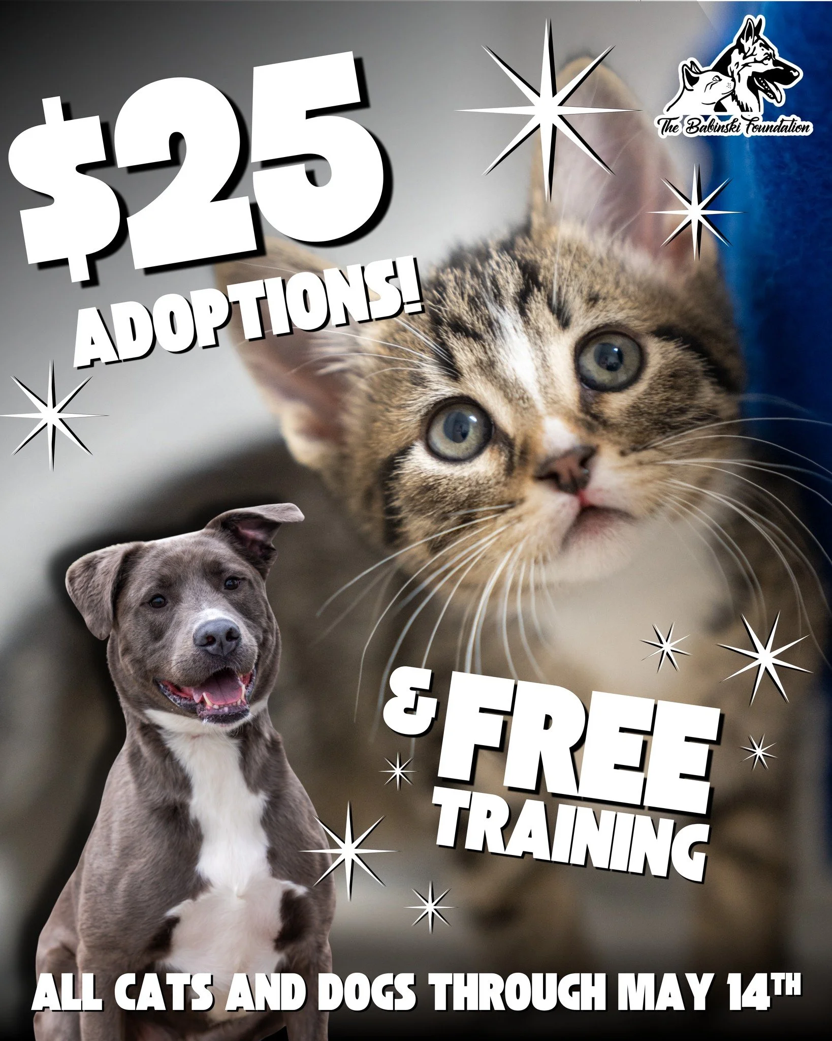 ✨ OUR BIGGEST ADOPTION PROMO EVER! ✨

✨$25 ADOPTIONS!

✨FREE TRAINING!

Every animal deserves a family, and every family deserves an animal. To give animals and families an amazing start, we&rsquo;re launching our biggest promotion yet! Now through M