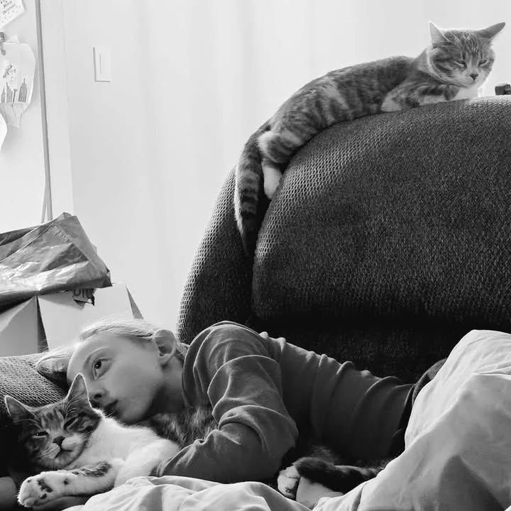 ✨ Success Story Sunday ✨

These two lucky Babinski cats are enjoying a perfect life with their girl! ❤

"On November 16, 2024 my daughter and I went to Babinski to look for a kitten. Our beloved fur baby Pip Squeak had passed away a few months b