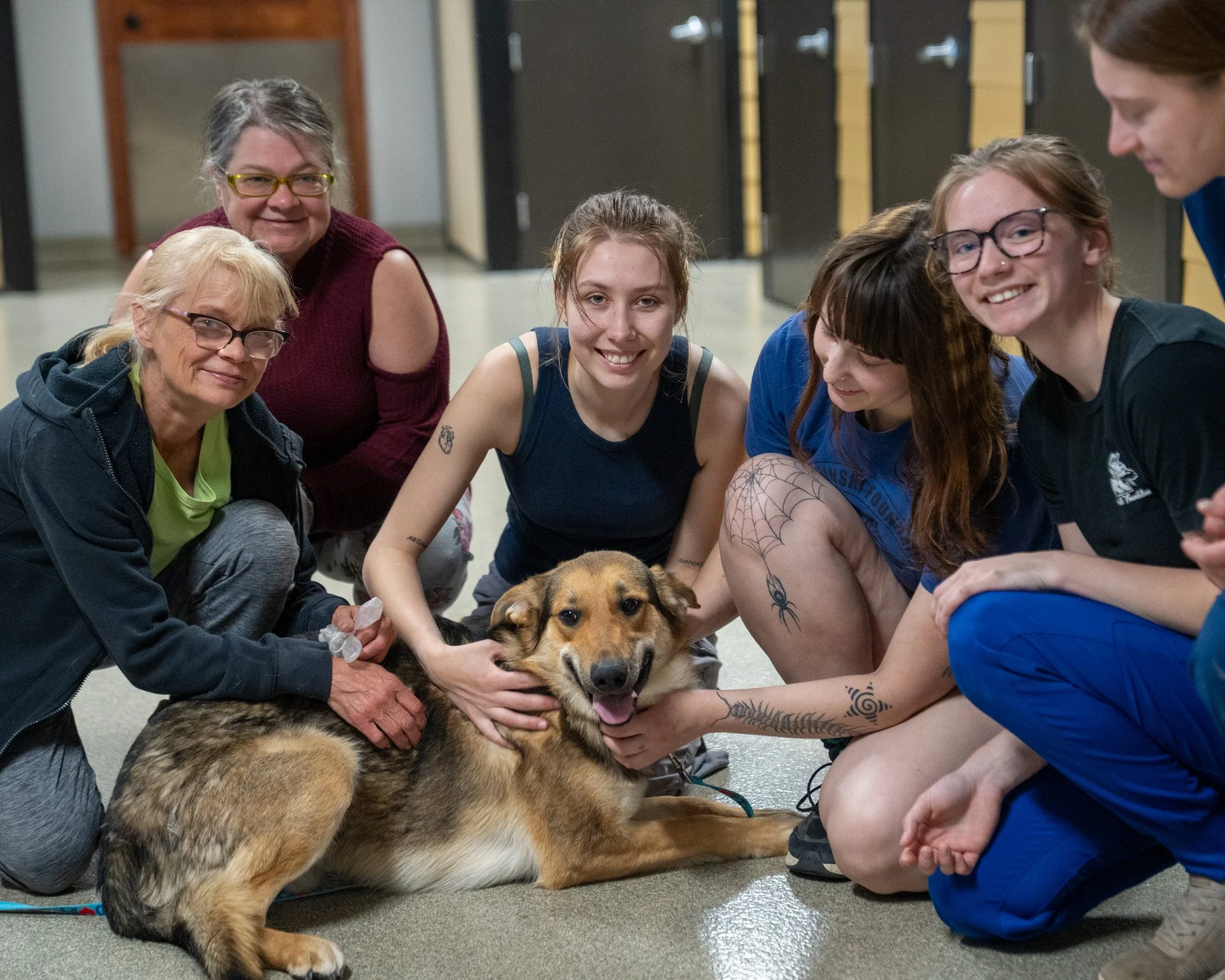 🐾❤ 100 ADOPTIONS ❤🐾

Meet Malone, the sweet Shepherd who officially became our 100th adoption since May 2nd, when our $25.00 adoption promotion started. Our community has opened their homes to 100 deserving pets, and there's still ONE MORE DAY TO A