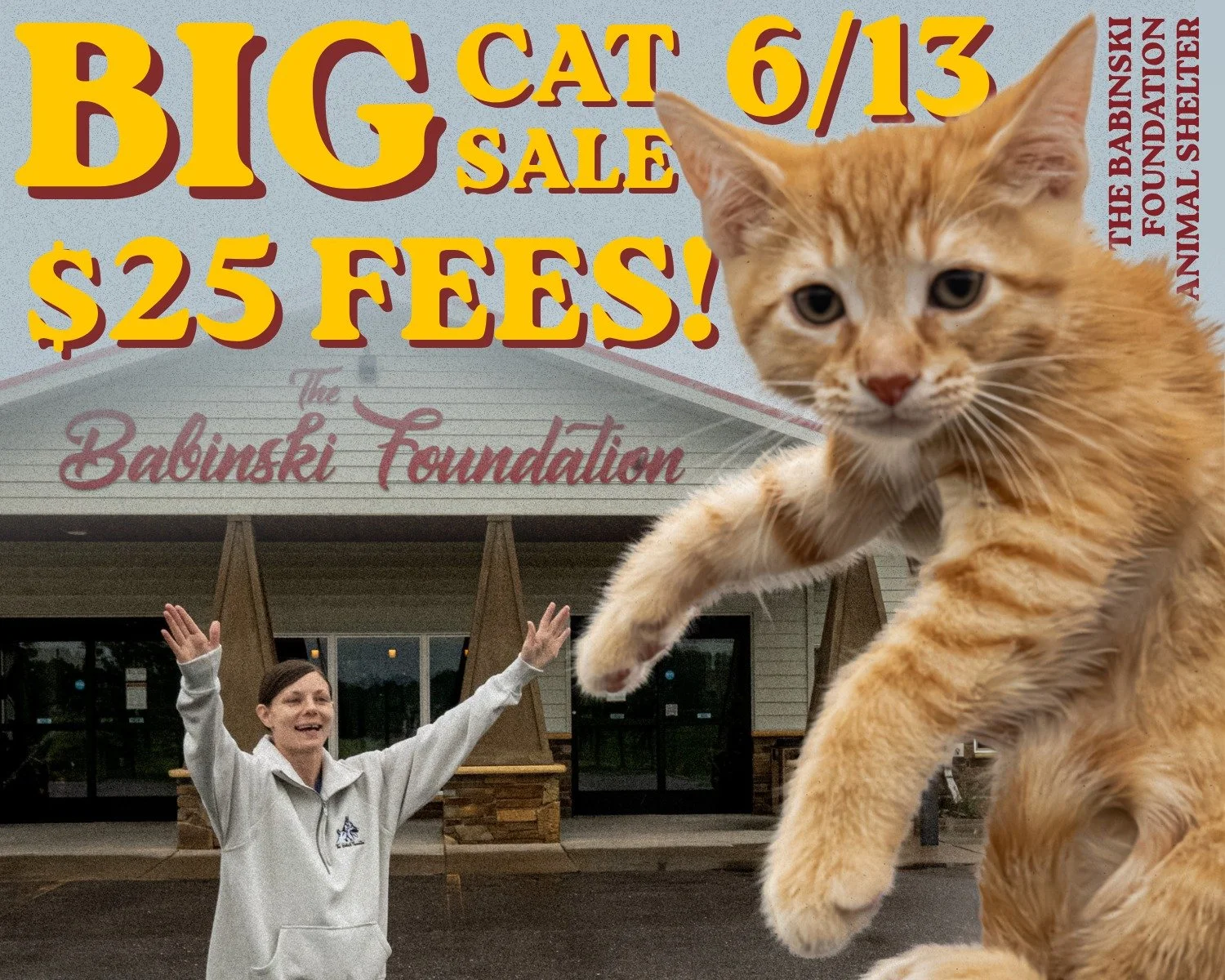 We're having a BIG CAT SALE -- just look how big this kitten is!! 🫢

Just kidding! We don't actually have giant kittens, but we do have a big sale. On June 13th from 8:30 AM to 5:00 PM, come on over to The Babinski Foundation Animal Shelter in Pequo
