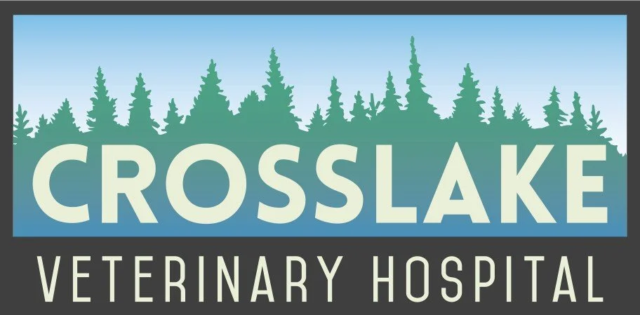 Crosslake Vet 2.jpg