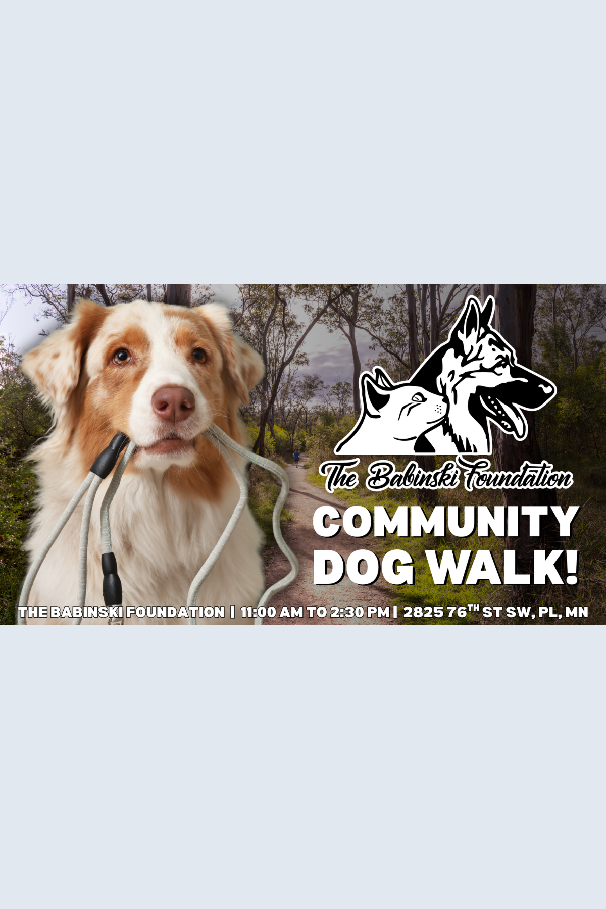October Community Dog Walk