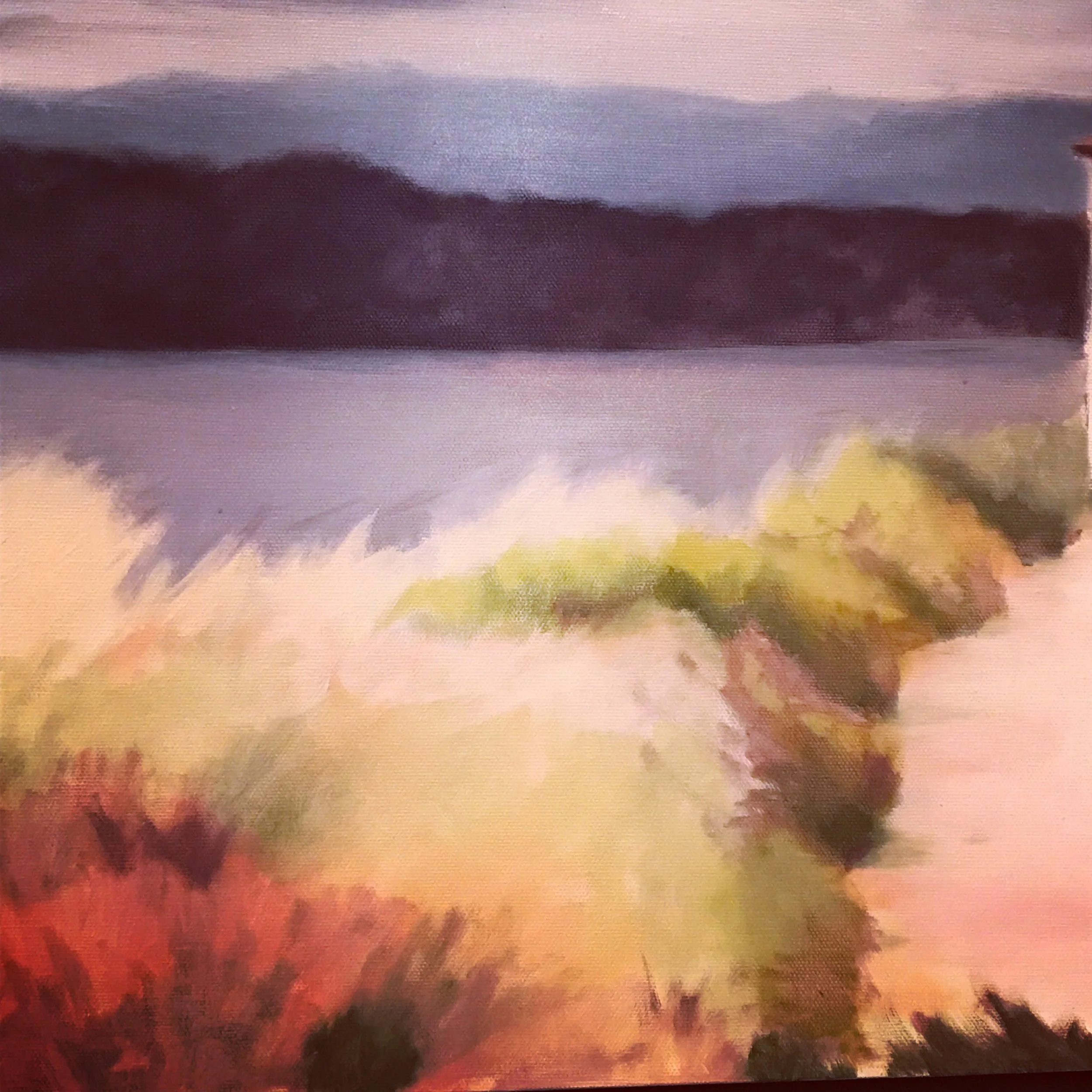 Solo Show at SPACE, Magnuson Park