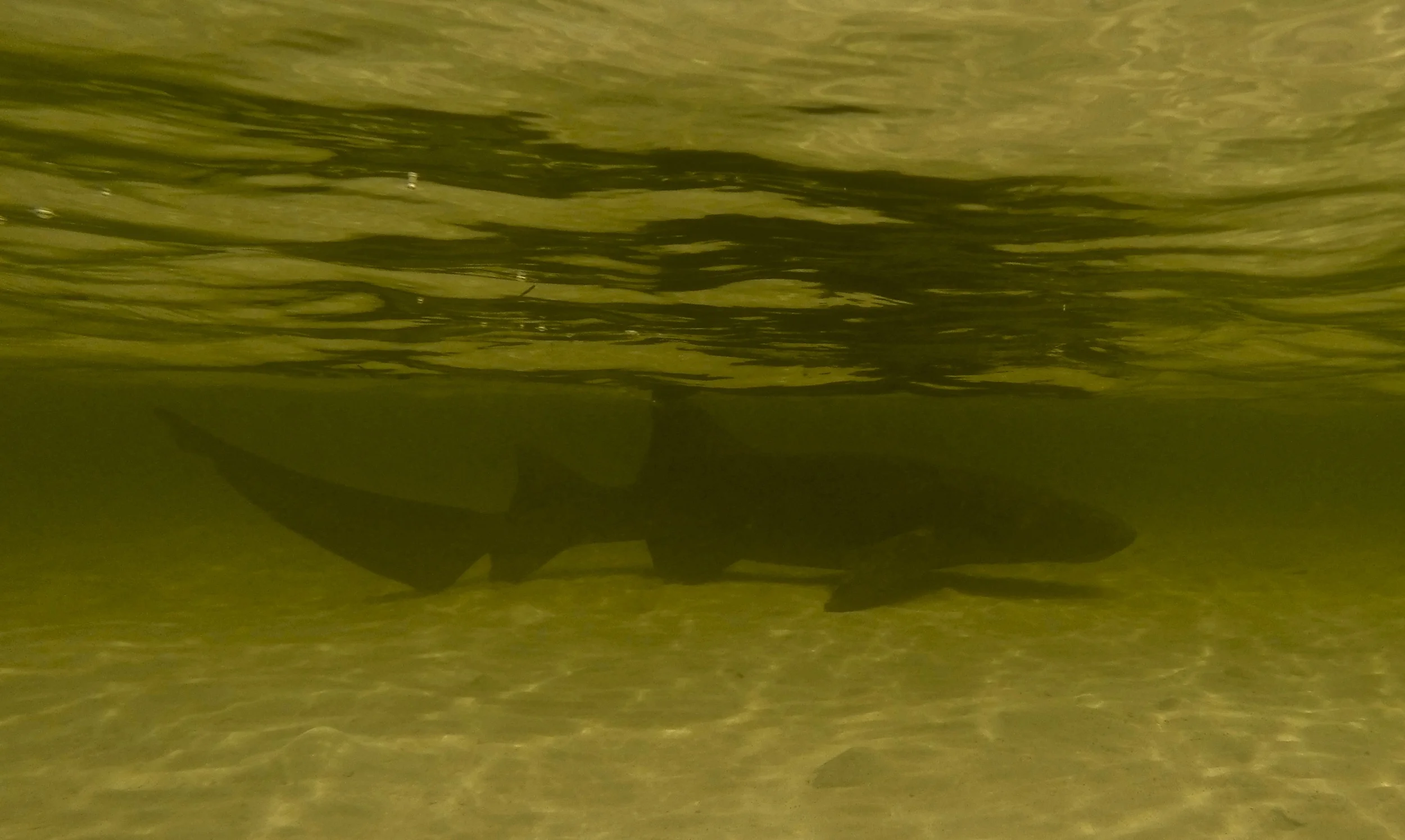 G0072775.jpg