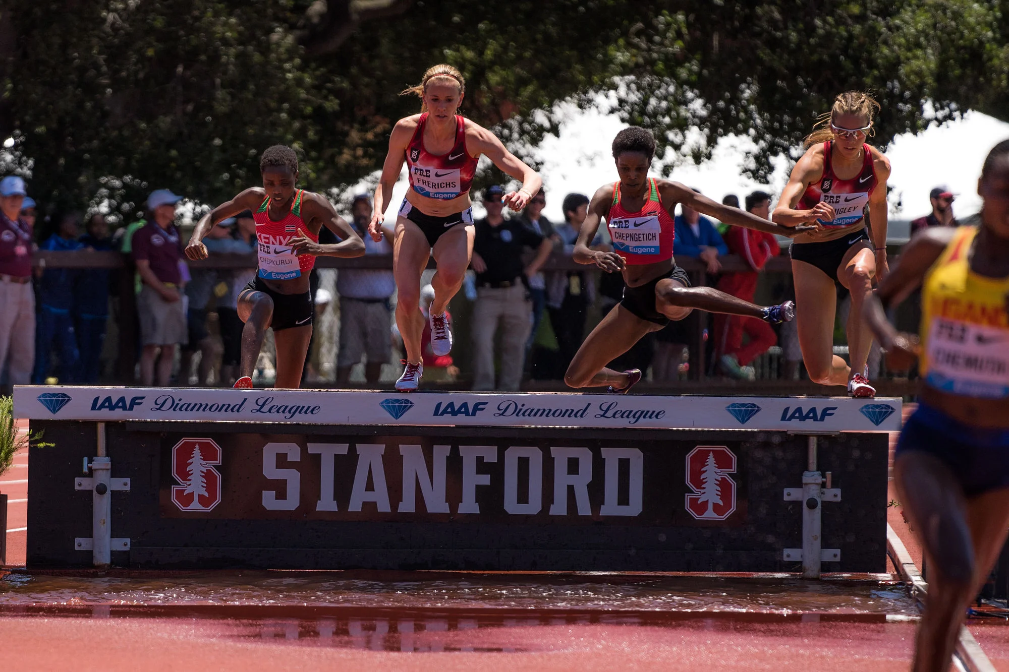 Photo by Cortney White