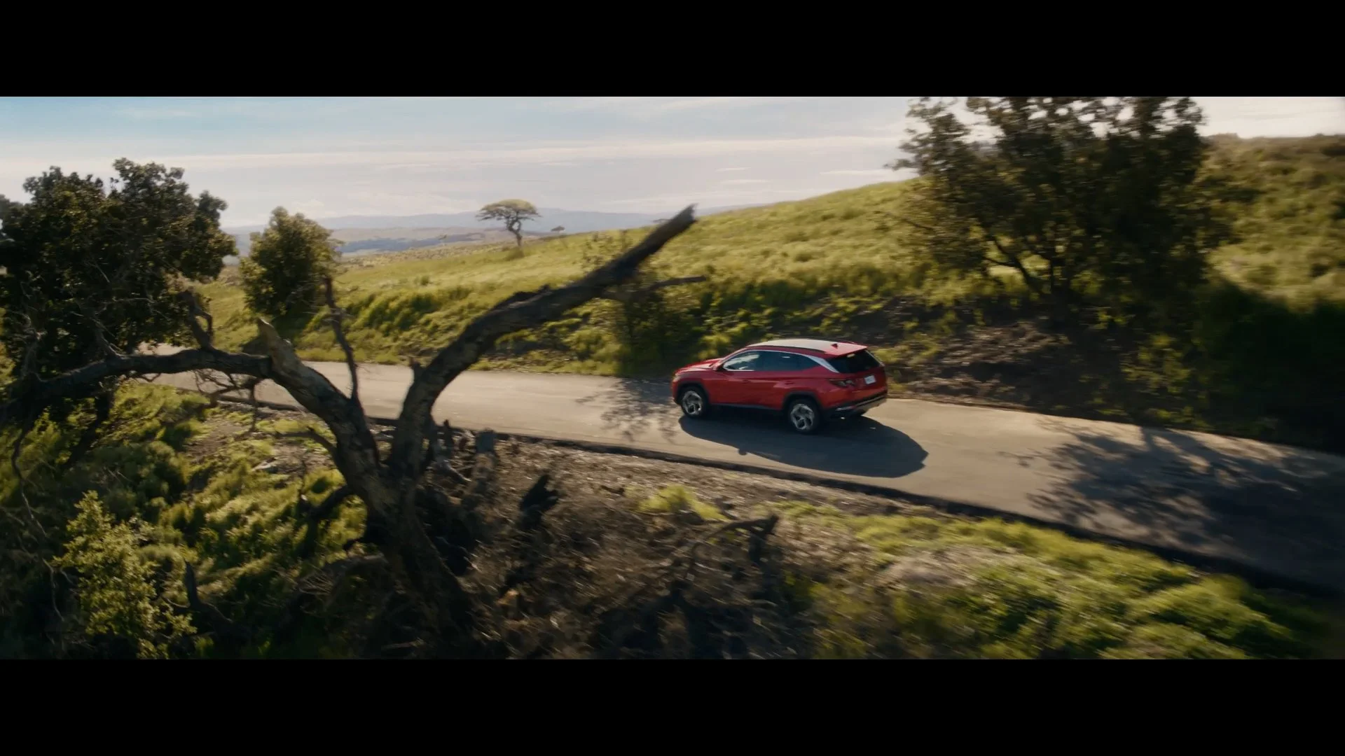 Hyundai x Disney 100 | "Hakuna Matata"